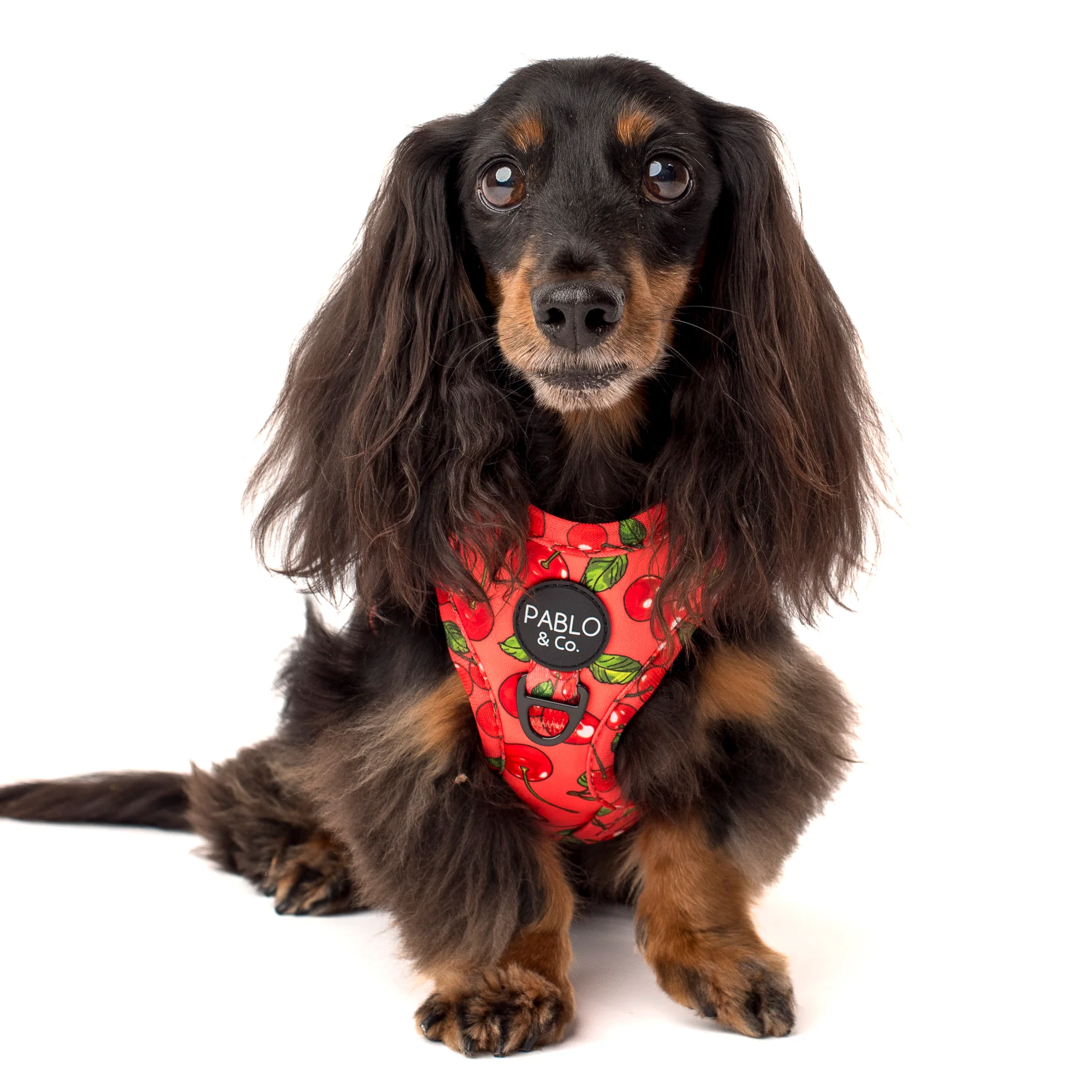 Cherry: Adjustable Harness - Image 4