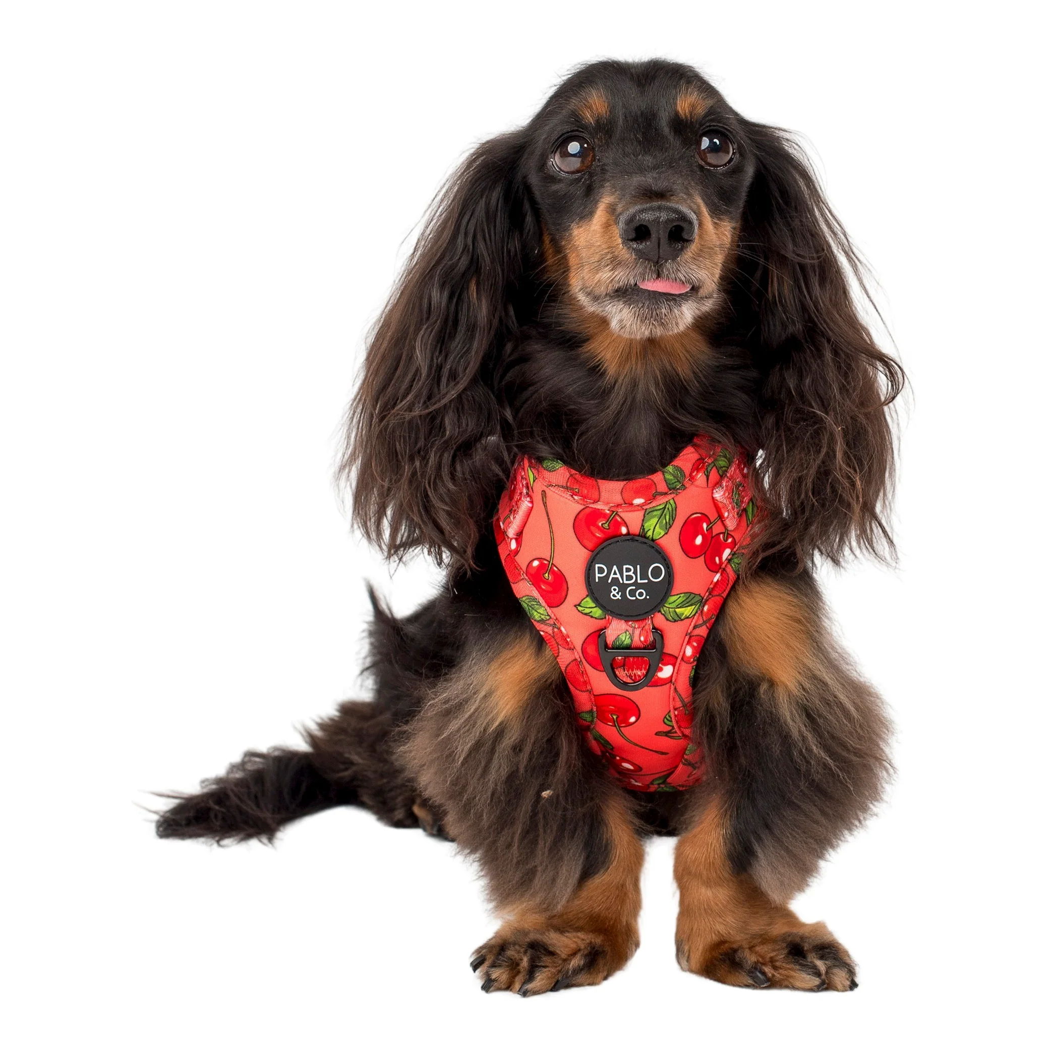 Cherry: Adjustable Harness - Image 6