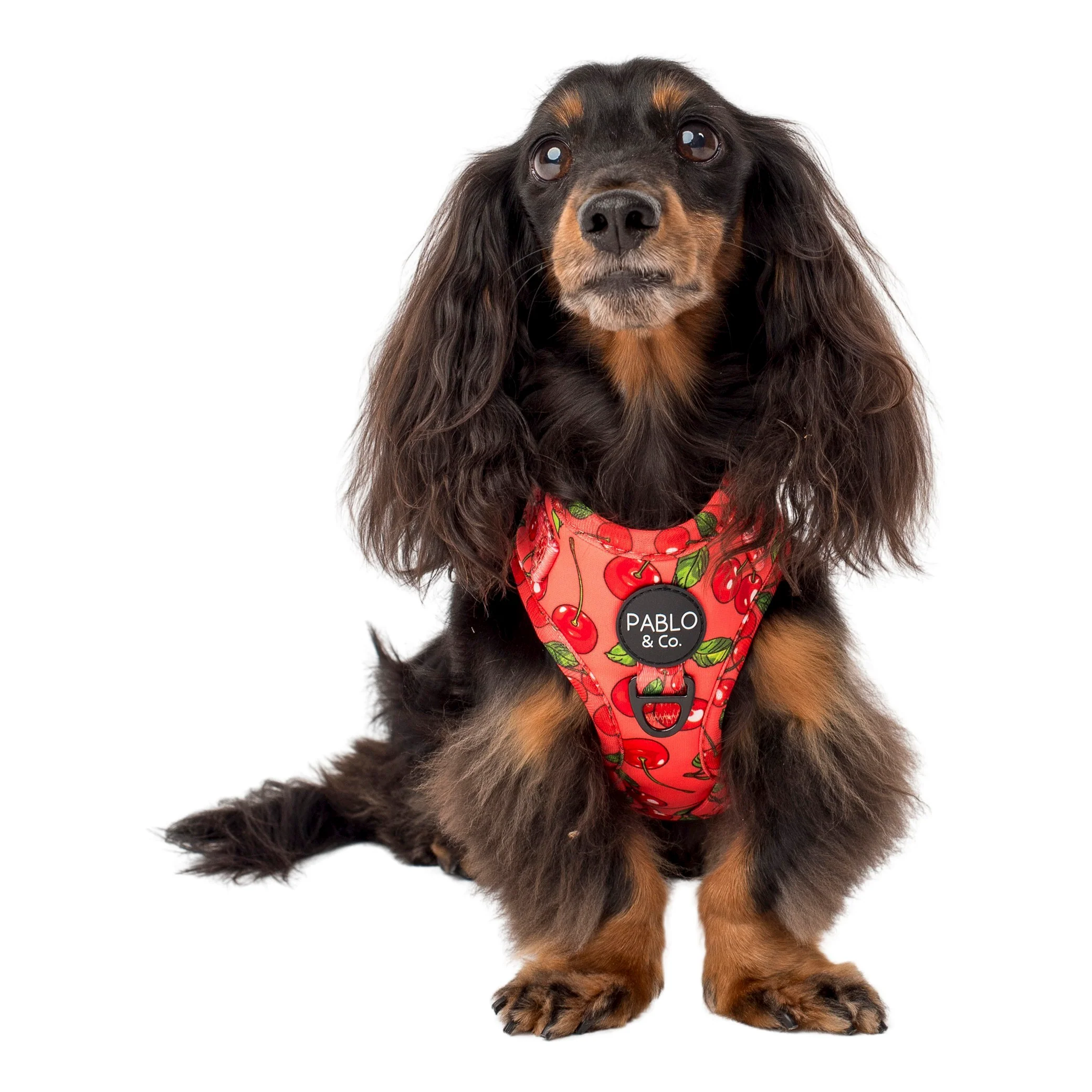 Cherry: Adjustable Harness - Image 7