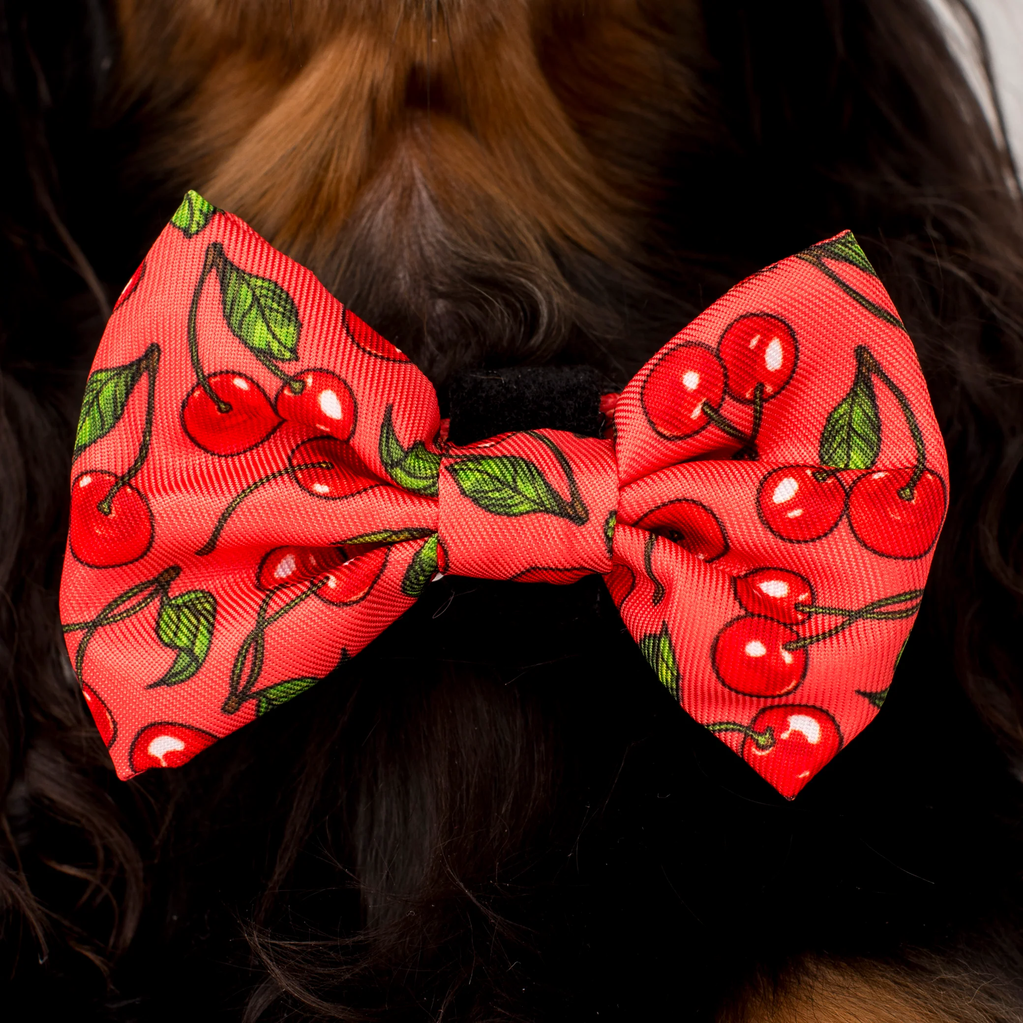 Cherry: Bow Tie - Image 2