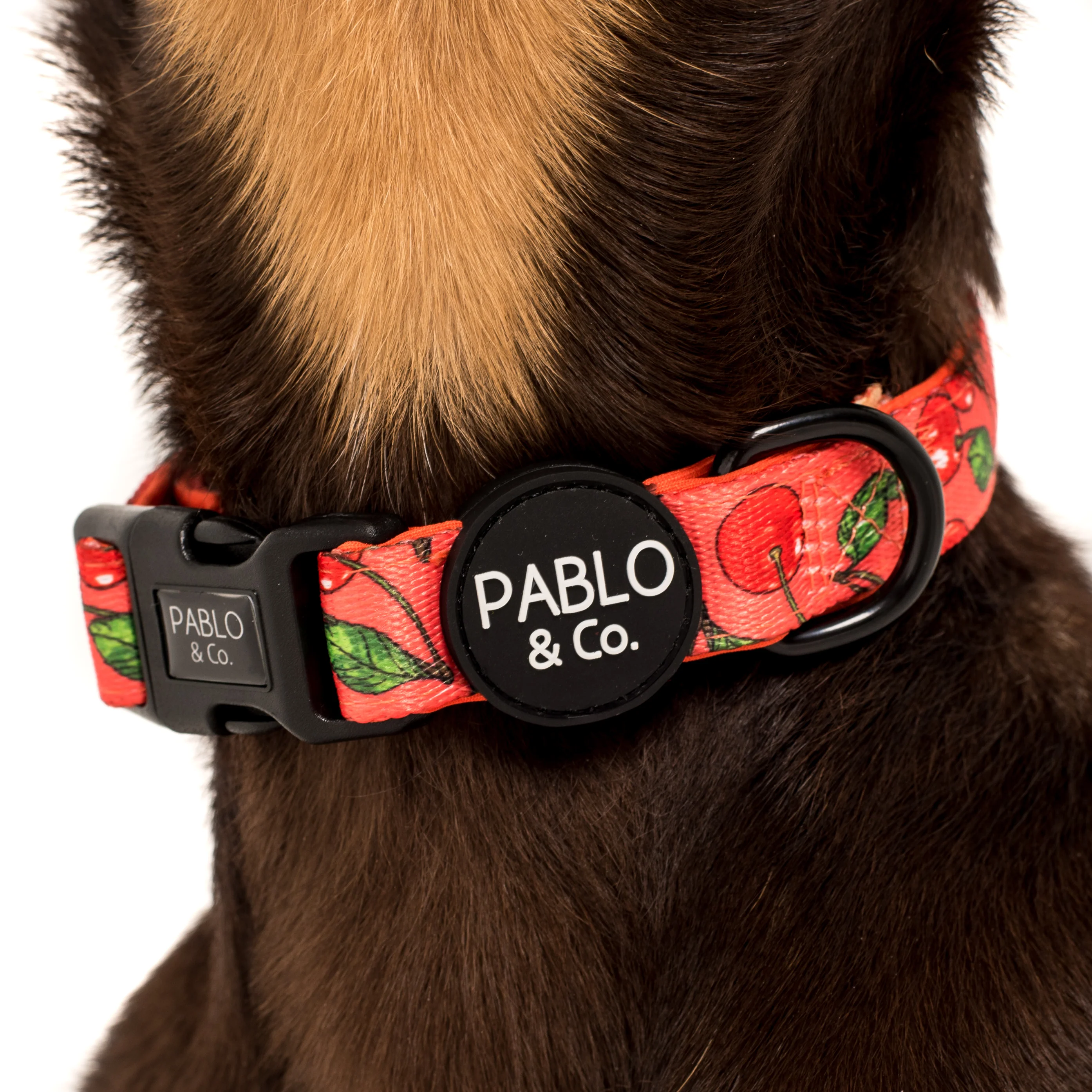 Cherry: Collar