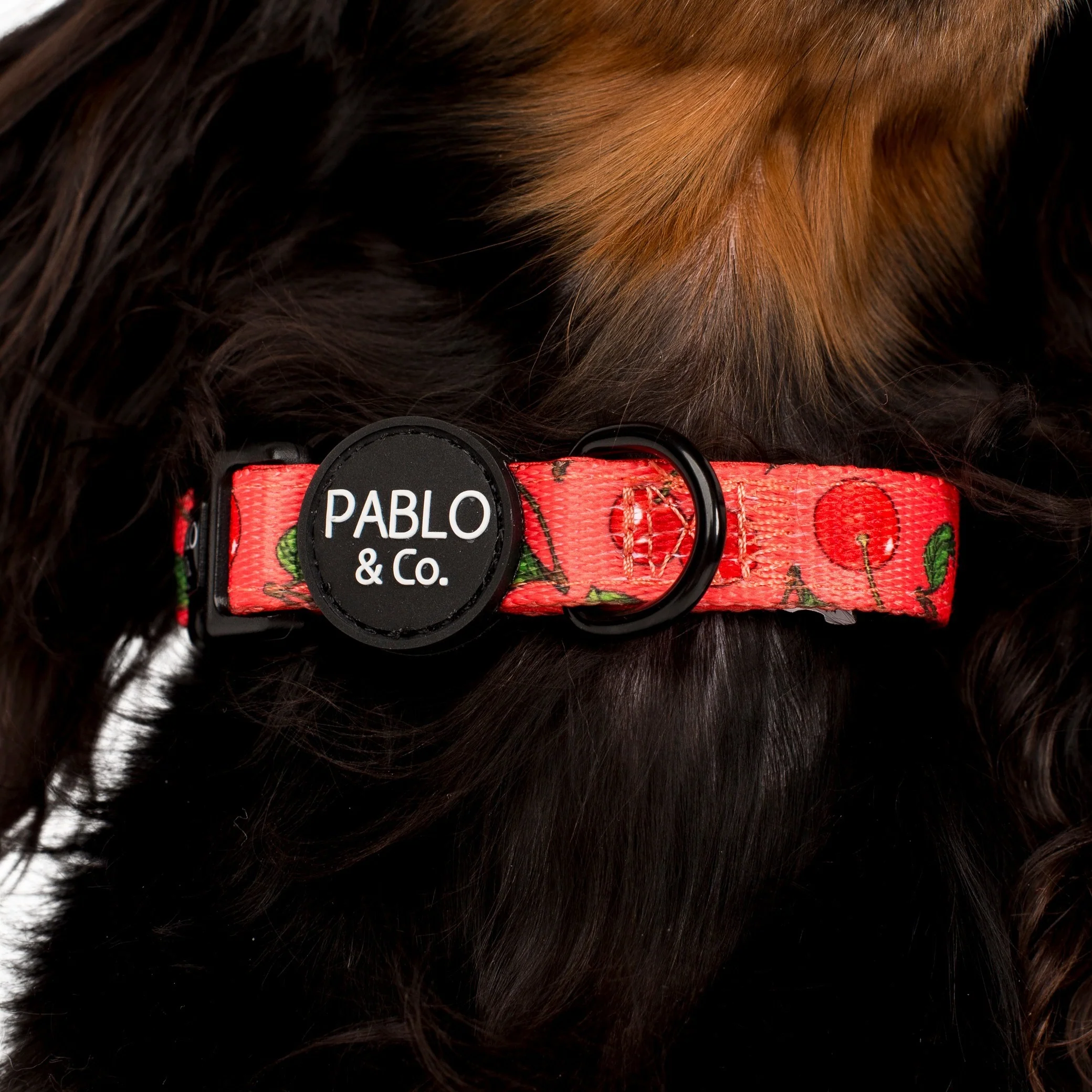 Cherry: Collar - Image 2