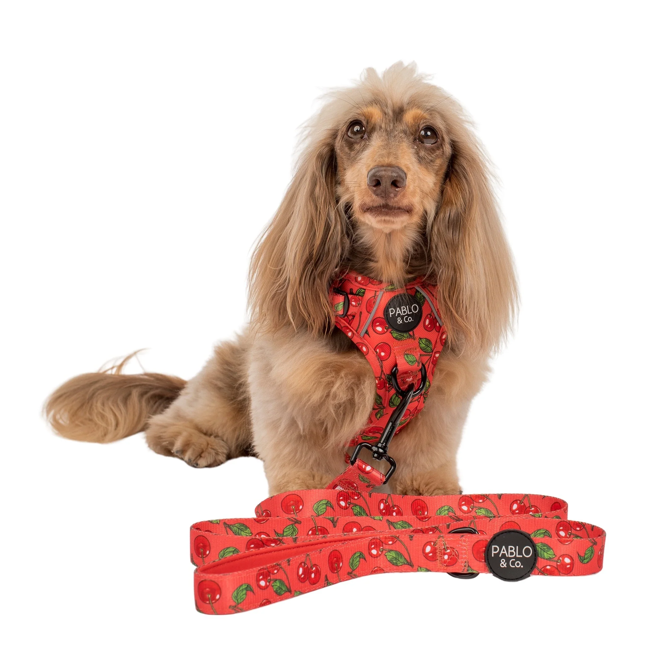 Cherry: Dog Leash - Image 3