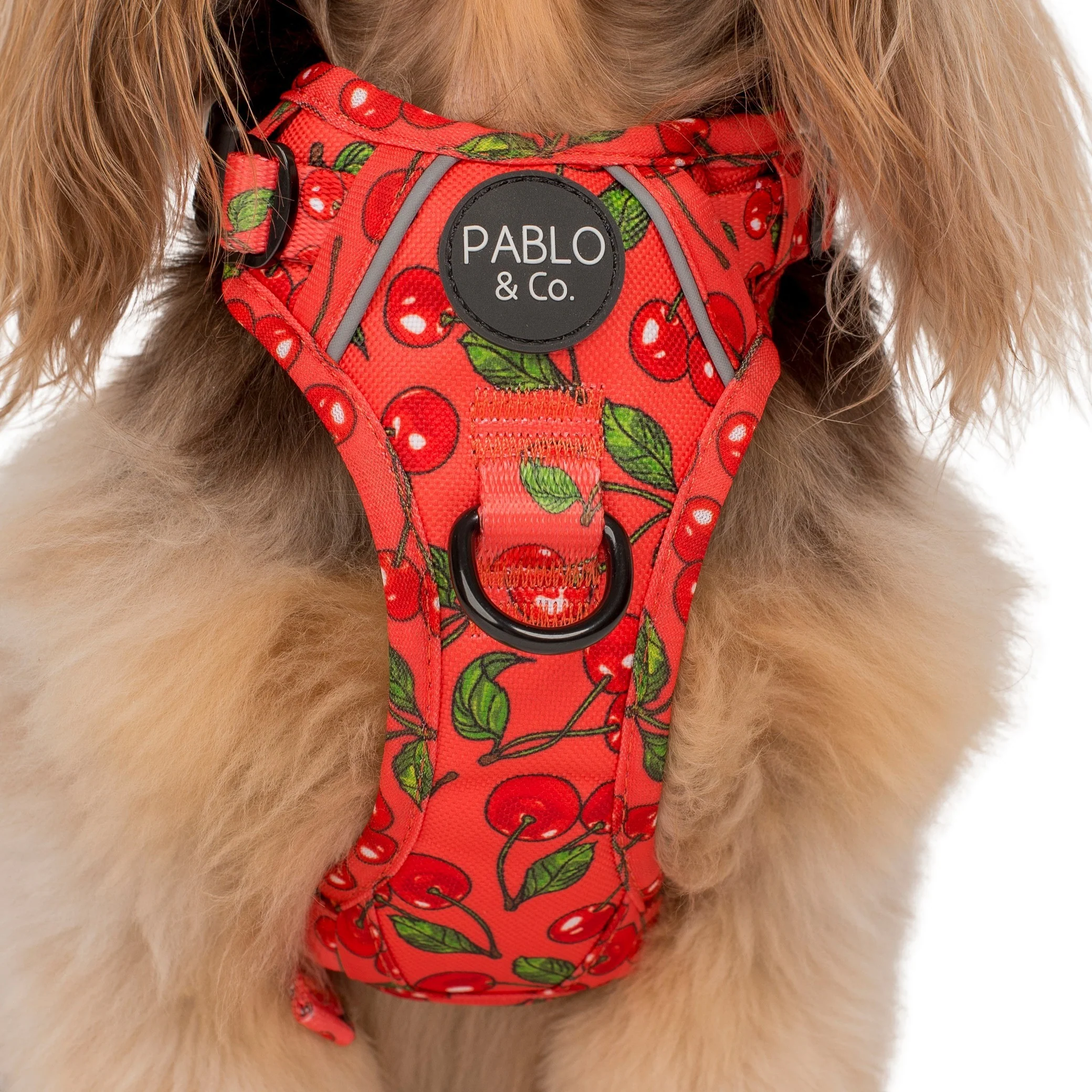 Cherry: No Pull Adventure Harness - Image 3