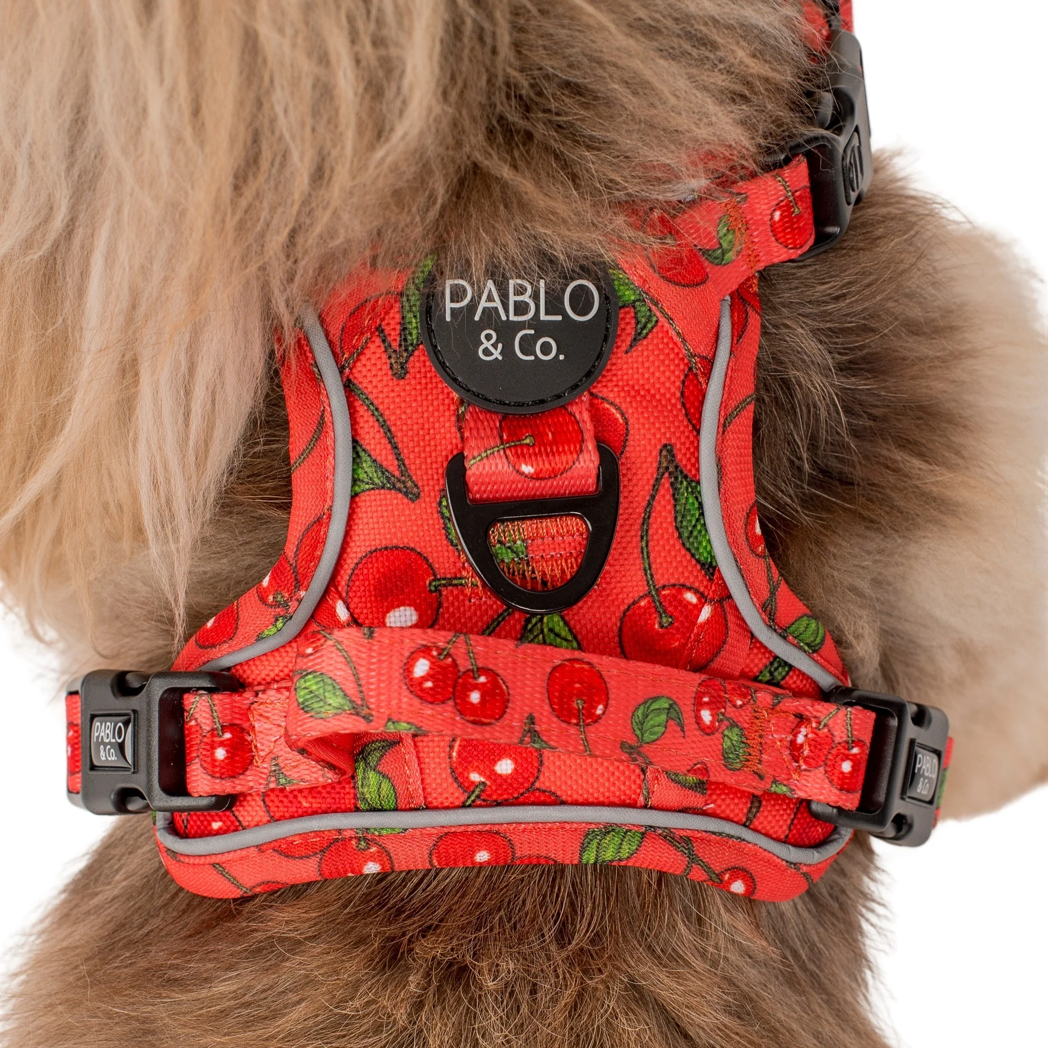 Cherry: No Pull Adventure Harness - Image 4