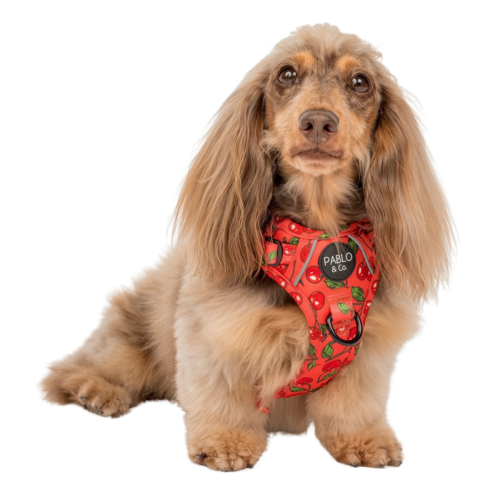 Cherry: No Pull Adventure Harness - Image 6