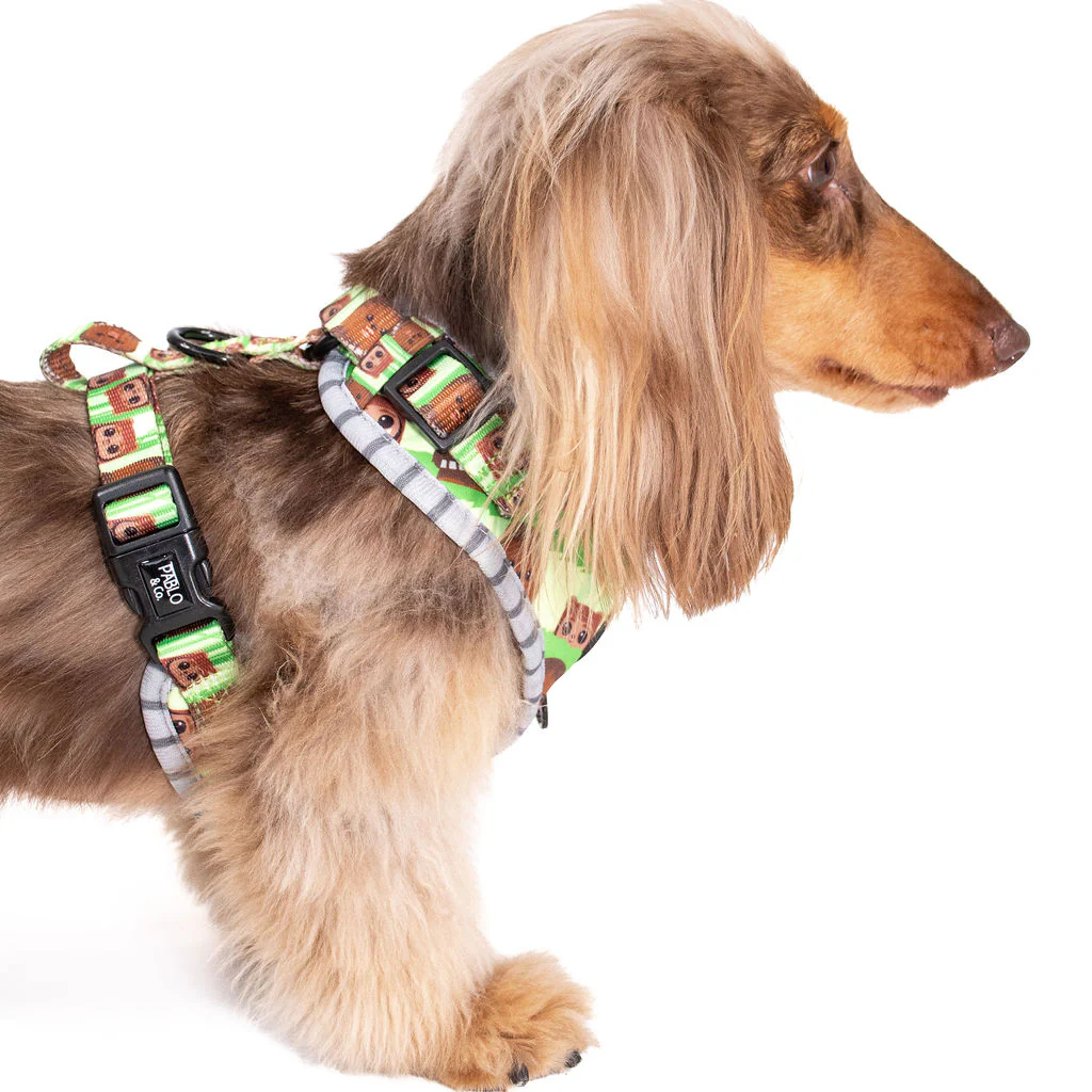 Chewbacca & Ewoks: Adjustable Harness - Image 3