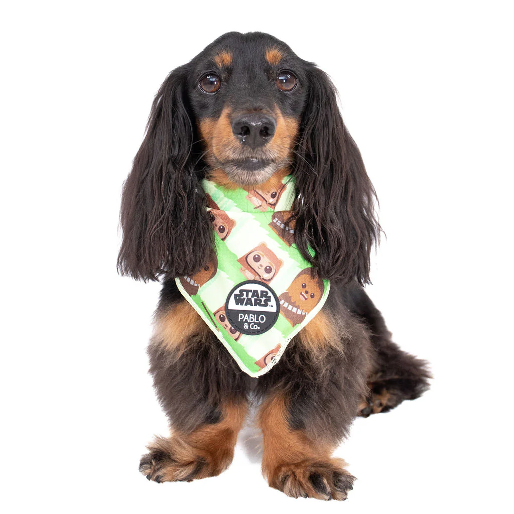Chewbacca & Ewoks: Dog Bandana