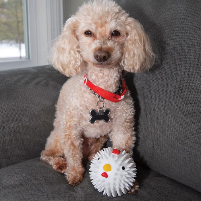 Chicken Dog Ball - Image 3