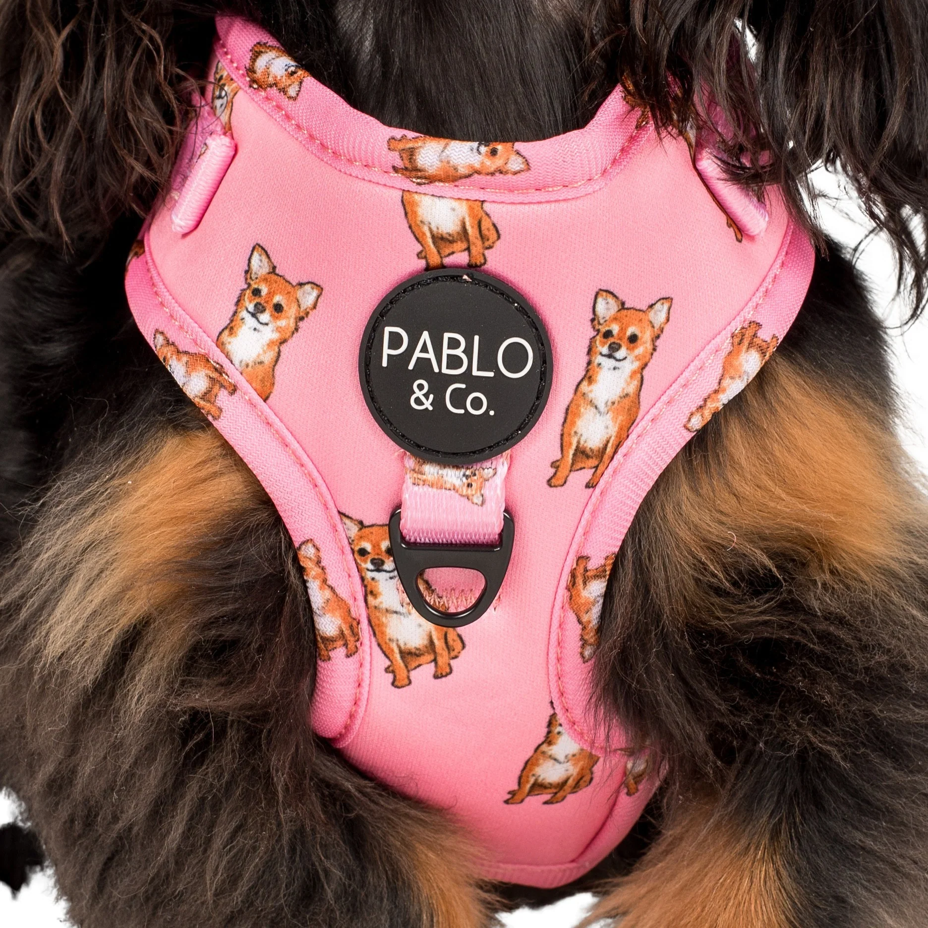 Chihuahua: Adjustable Harness - Image 4