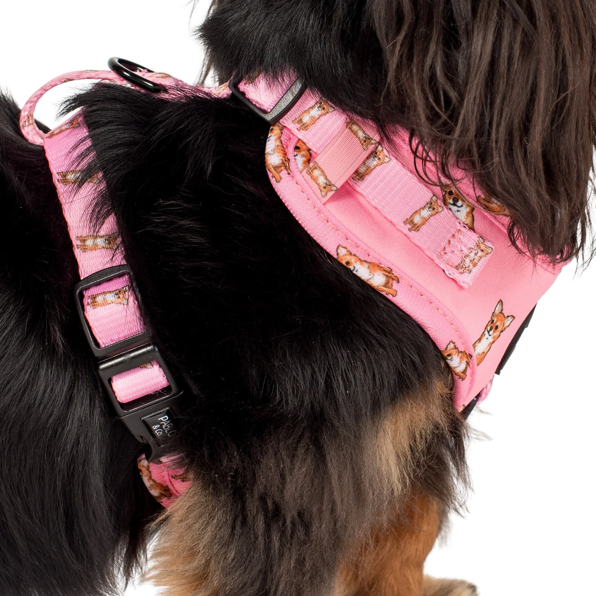 Chihuahua: Adjustable Harness - Image 6