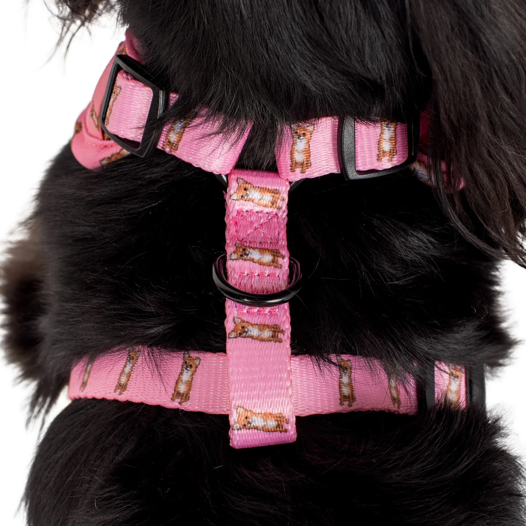 Chihuahua: Adjustable Harness - Image 7