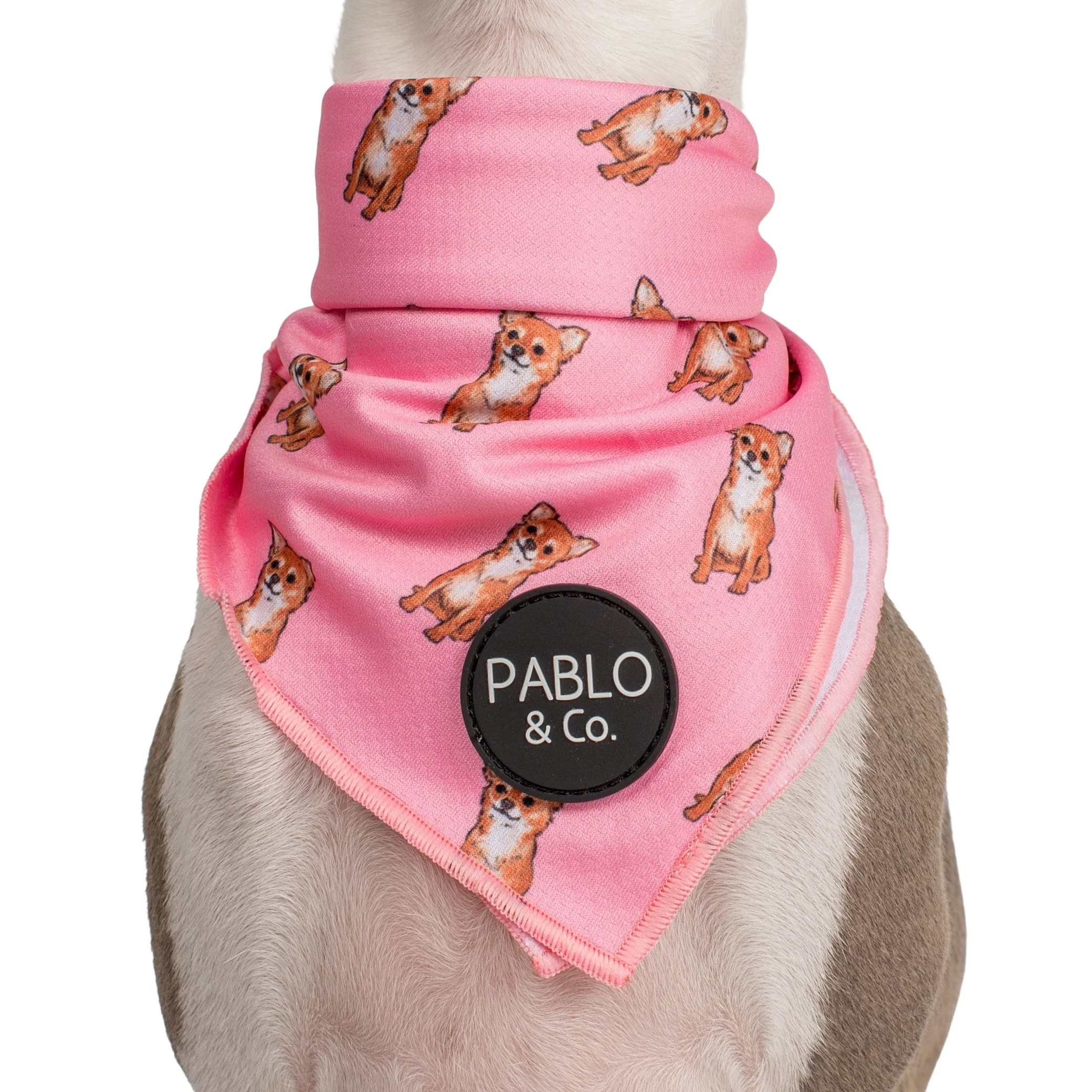 Chihuahua - Dog Bandana - Image 5