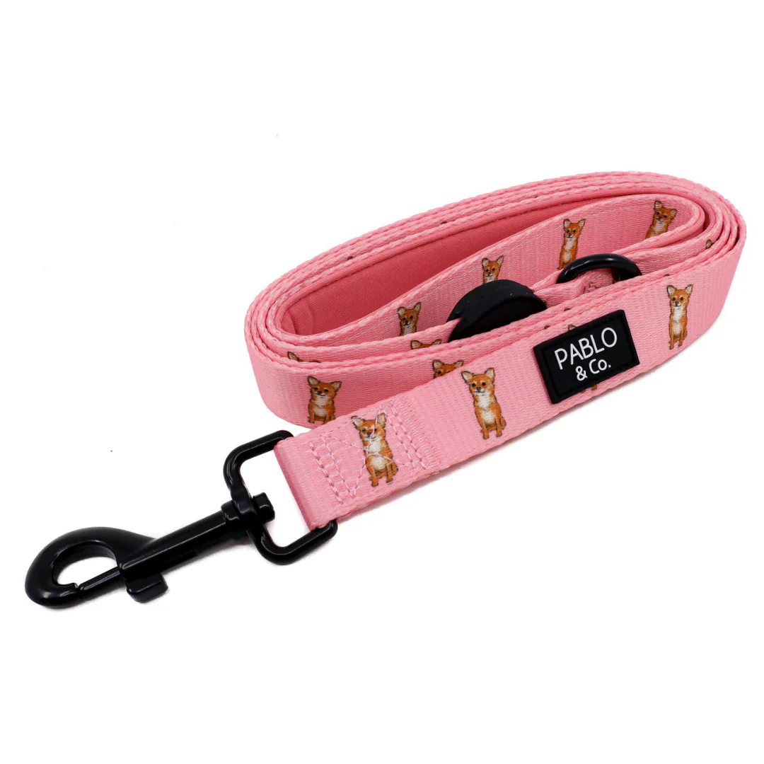 Chihuahua: Dog Leash