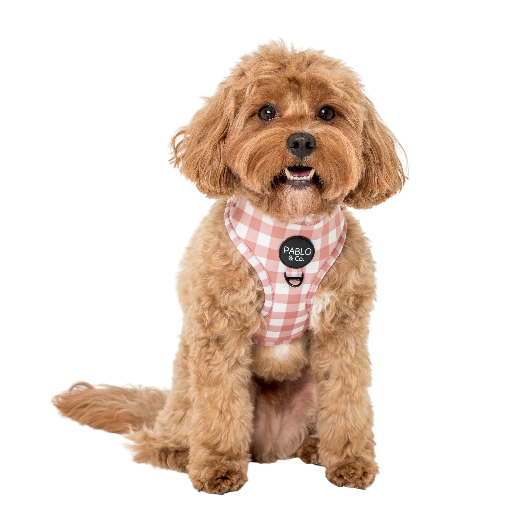 Chocolate Gingham: Adjustable Harness - Image 3