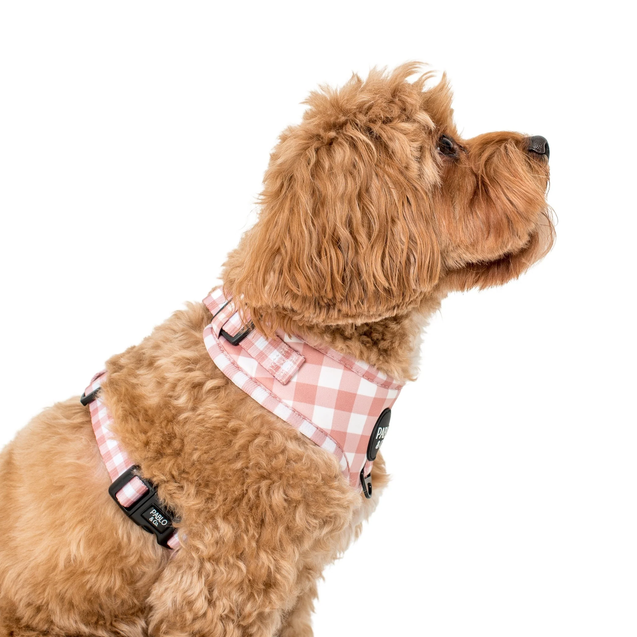Chocolate Gingham: Adjustable Harness - Image 4