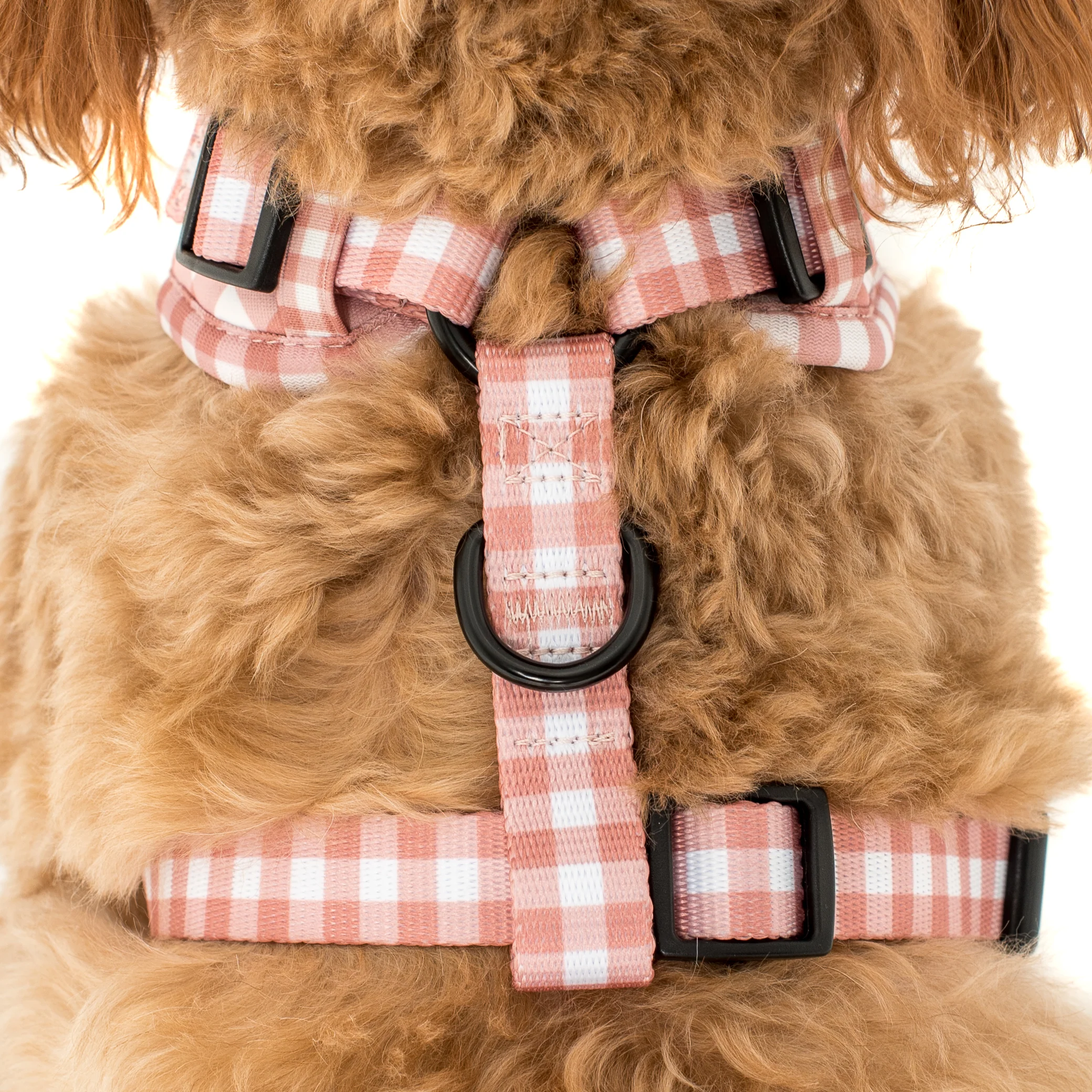 Chocolate Gingham: Adjustable Harness - Image 5