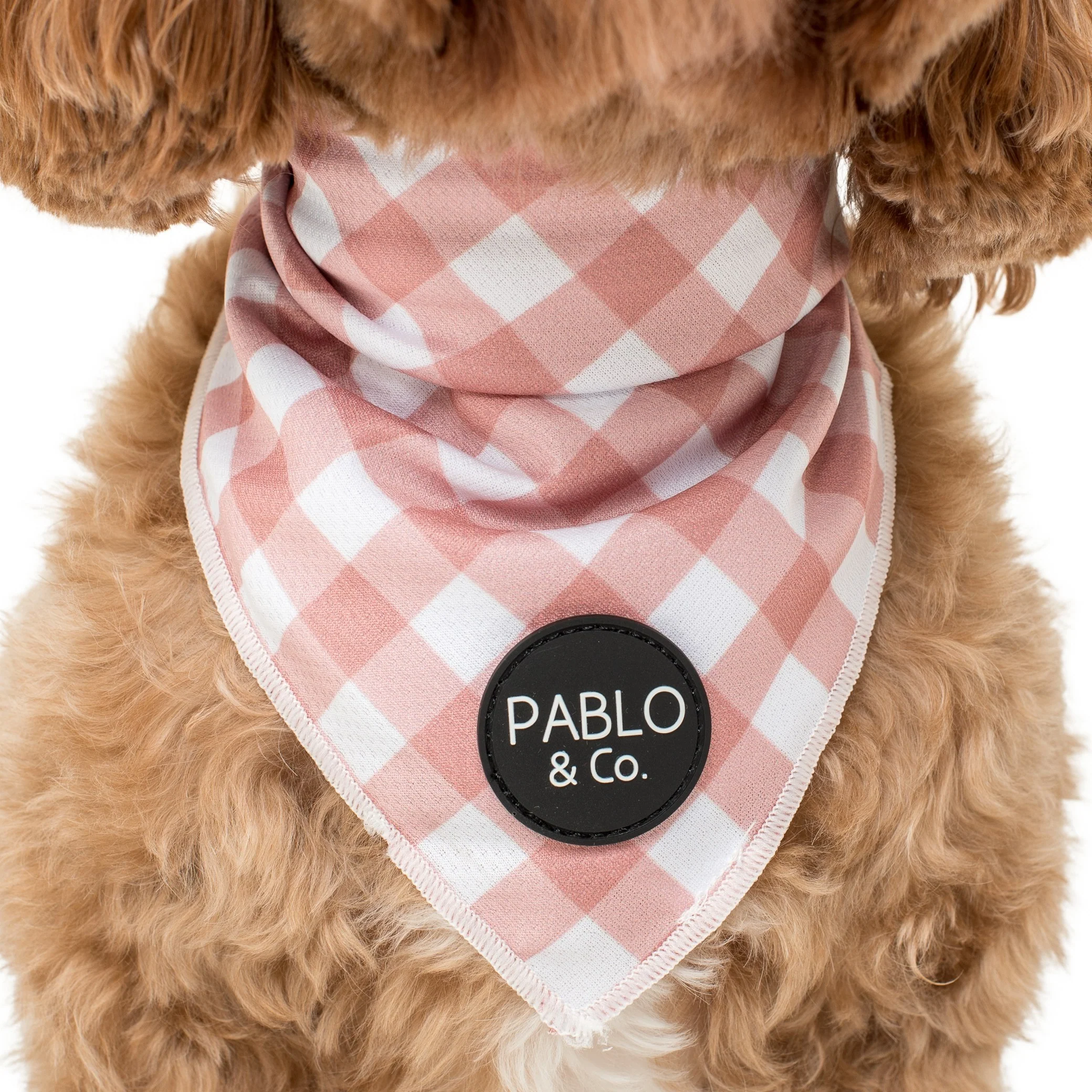 Chocolate Gingham - Dog Bandana - Image 2