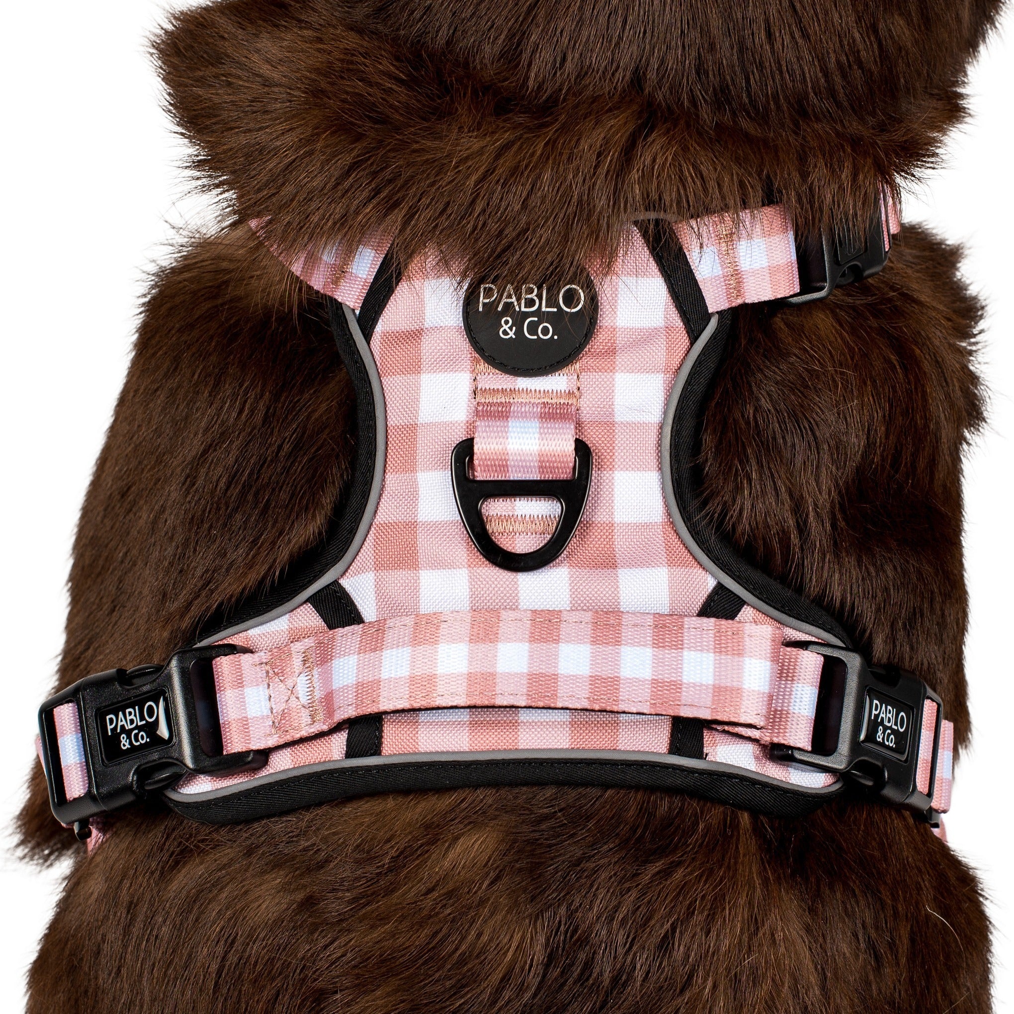 Chocolate Gingham: No Pull Adventure Harness - Image 2