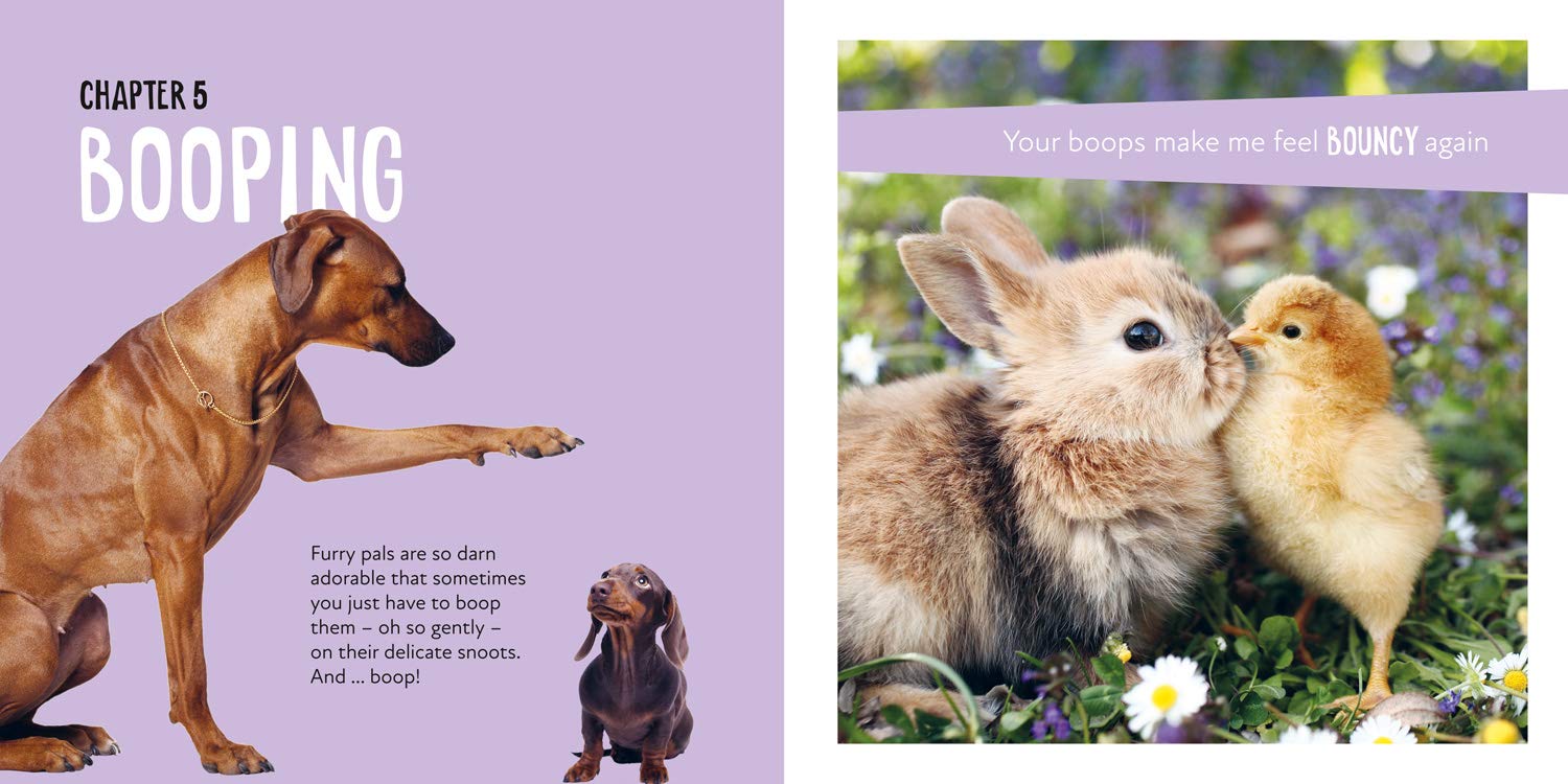 Chonk and Smol Book - Image 3