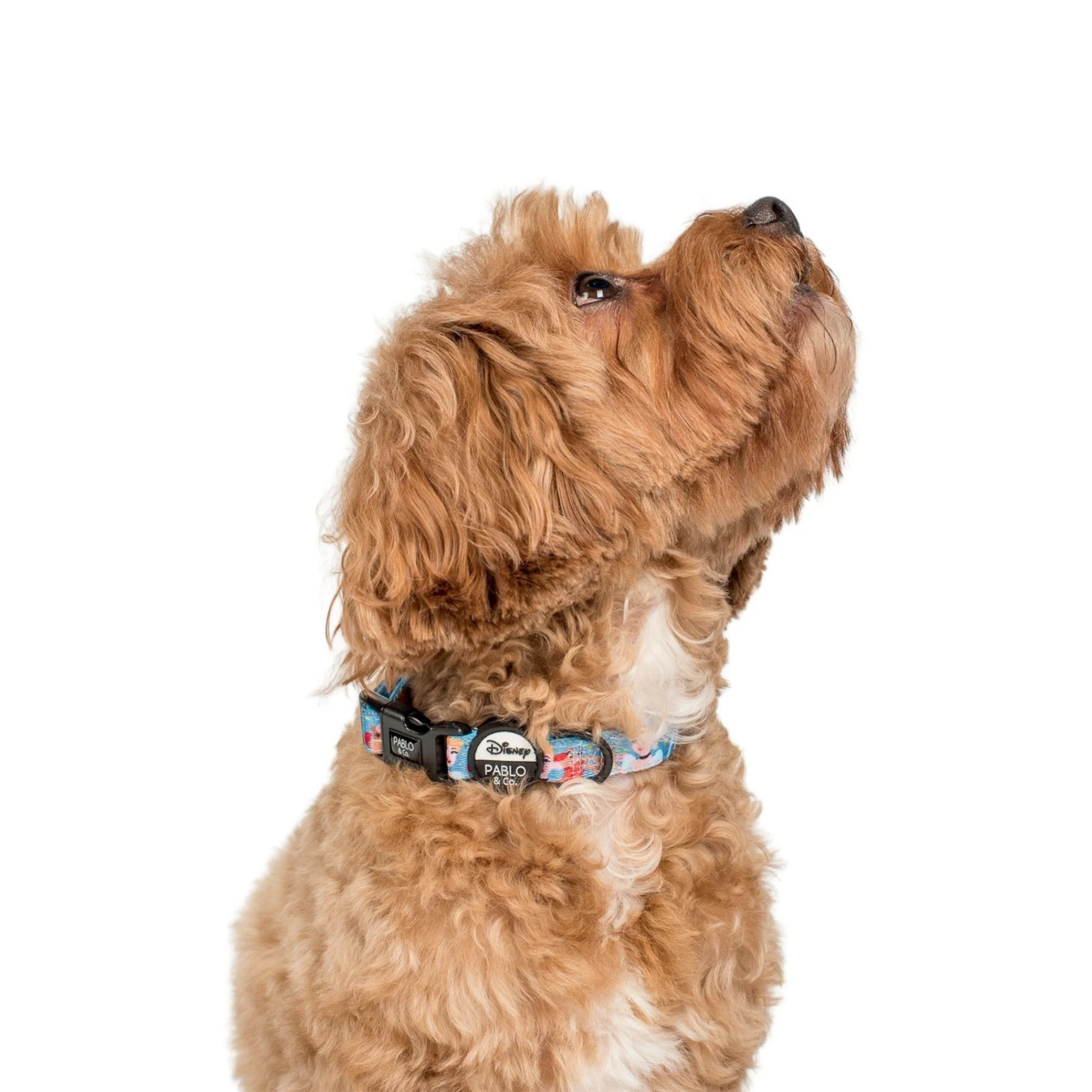 Cinderella: Dog Collar - Image 3