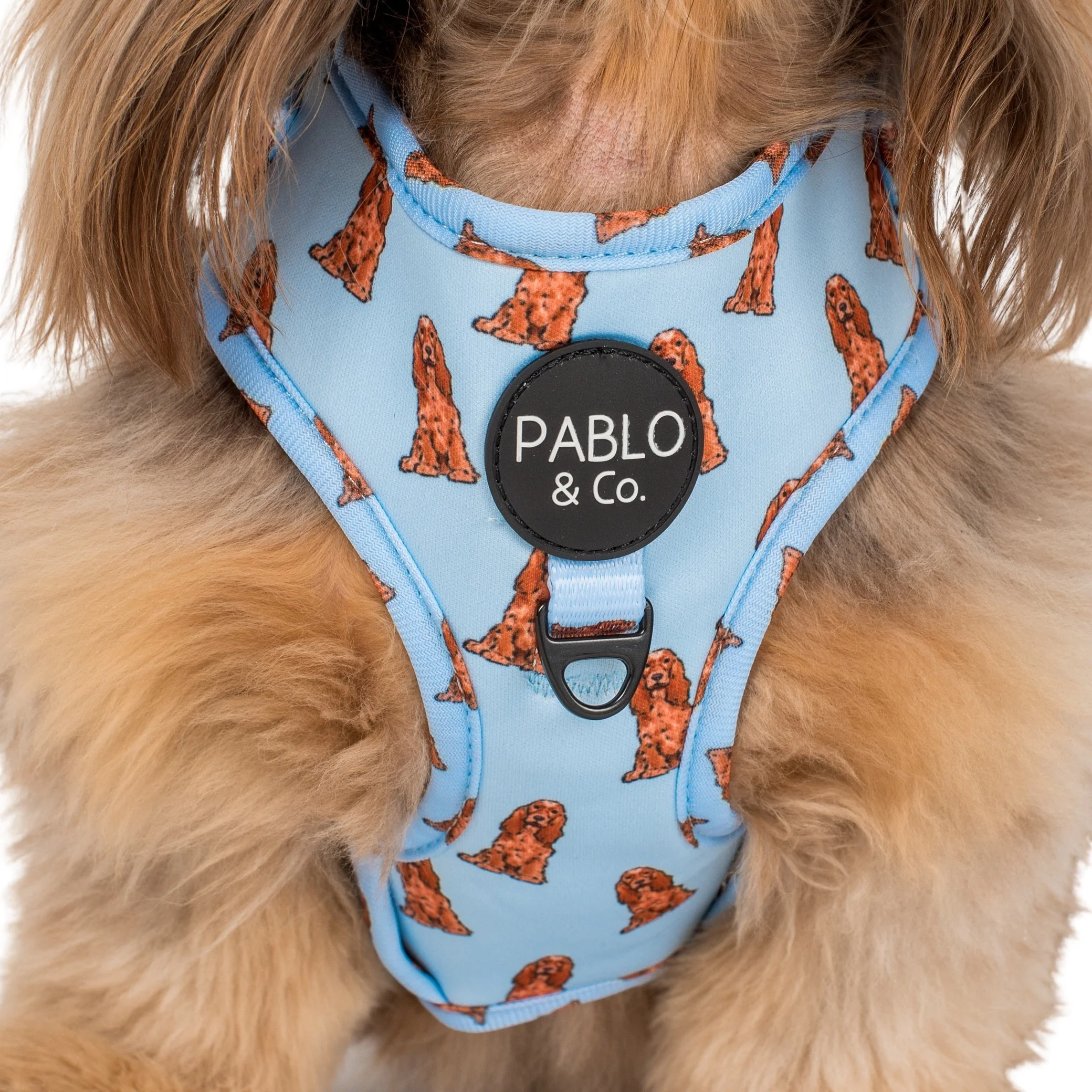 Cocker Spaniel: Adjustable Harness - Image 6