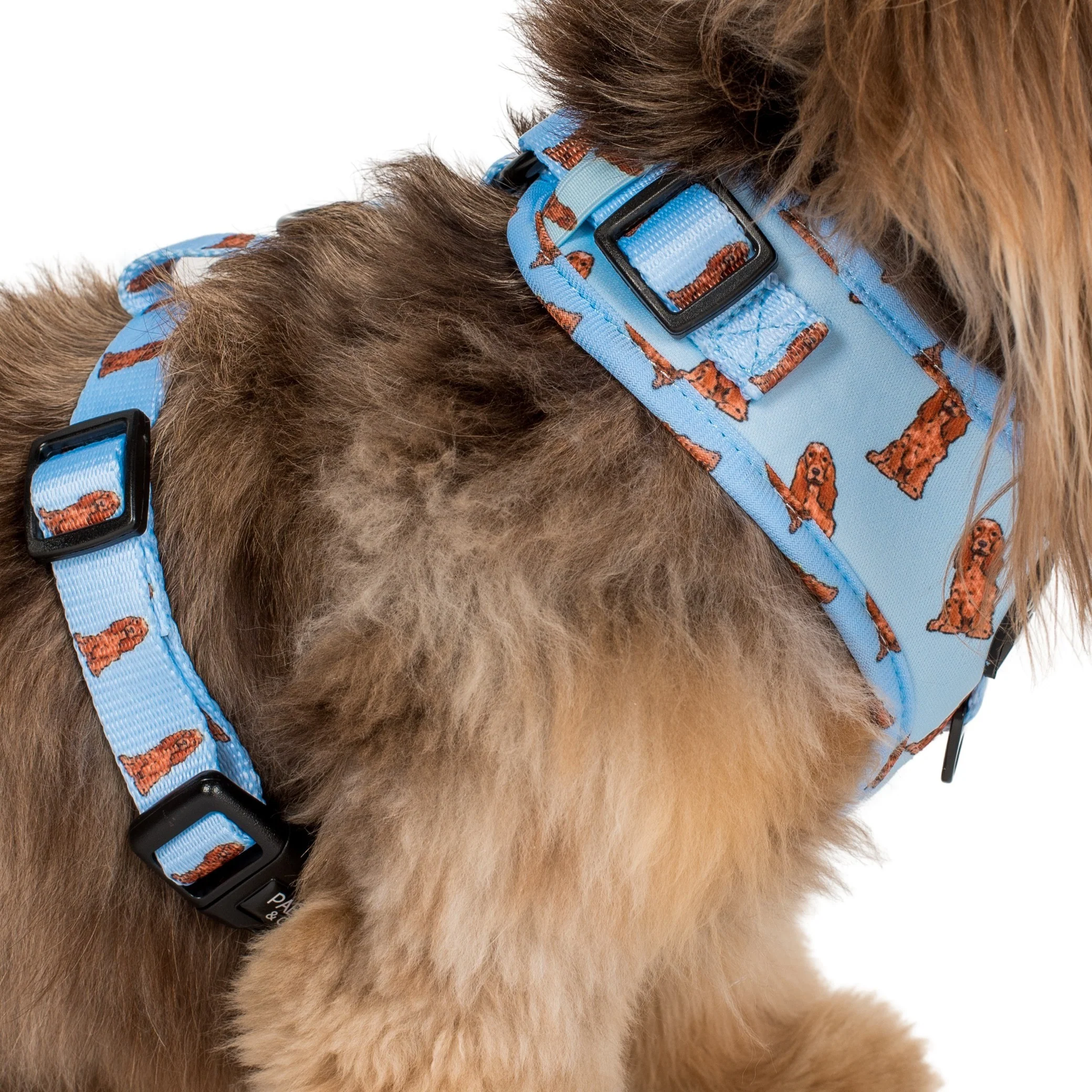 Cocker Spaniel: Adjustable Harness - Image 7
