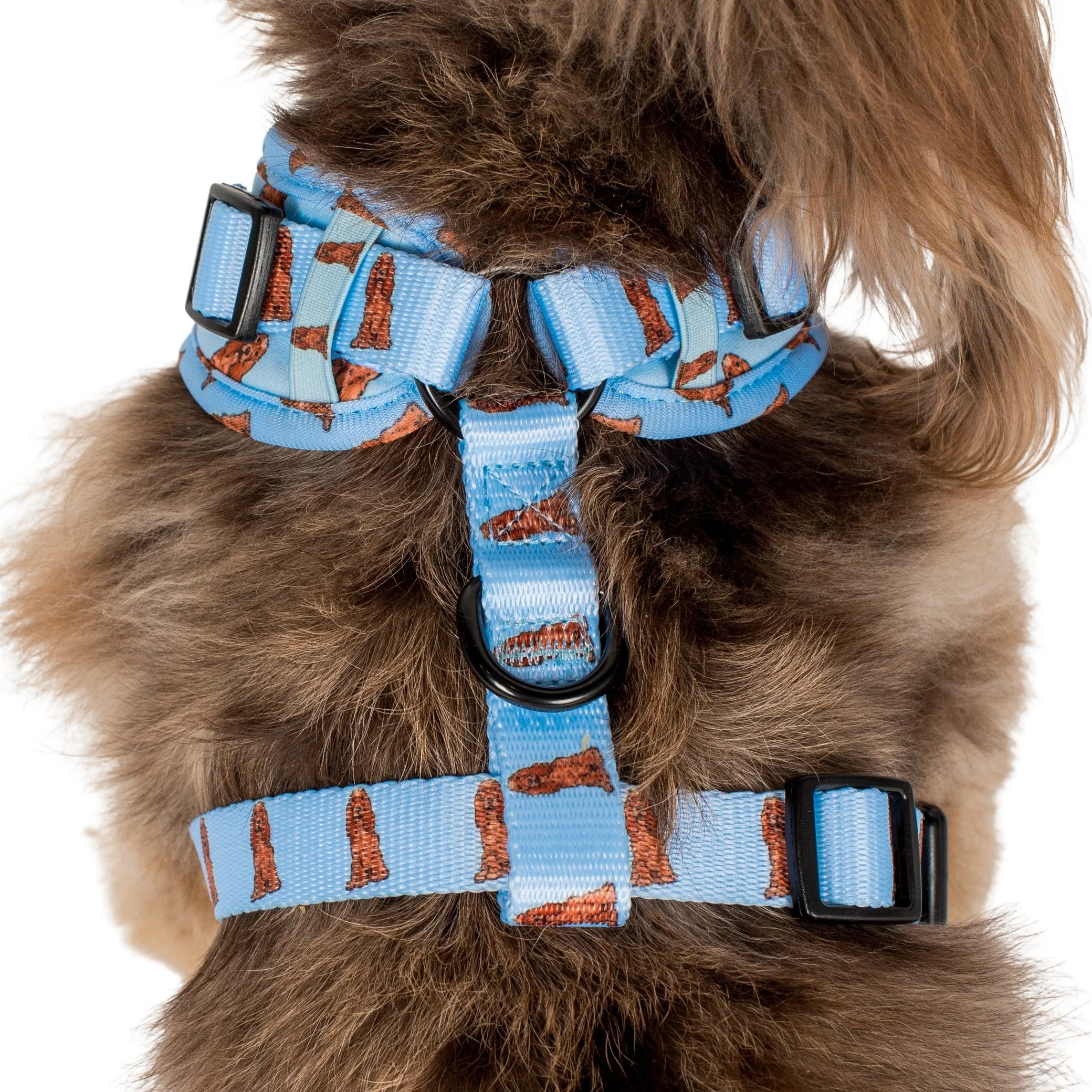 Cocker Spaniel: Adjustable Harness - Image 8