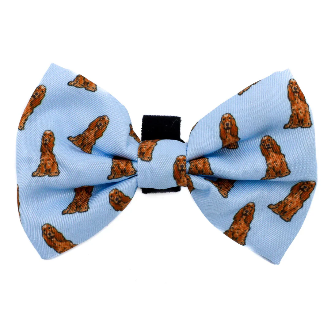 Cocker Spaniel: Bow Tie