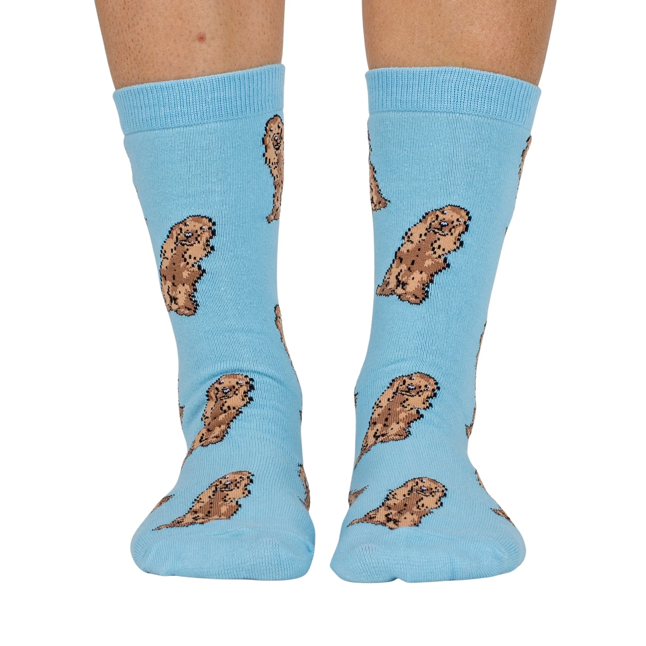 Cocker Spaniel: Breed Socks