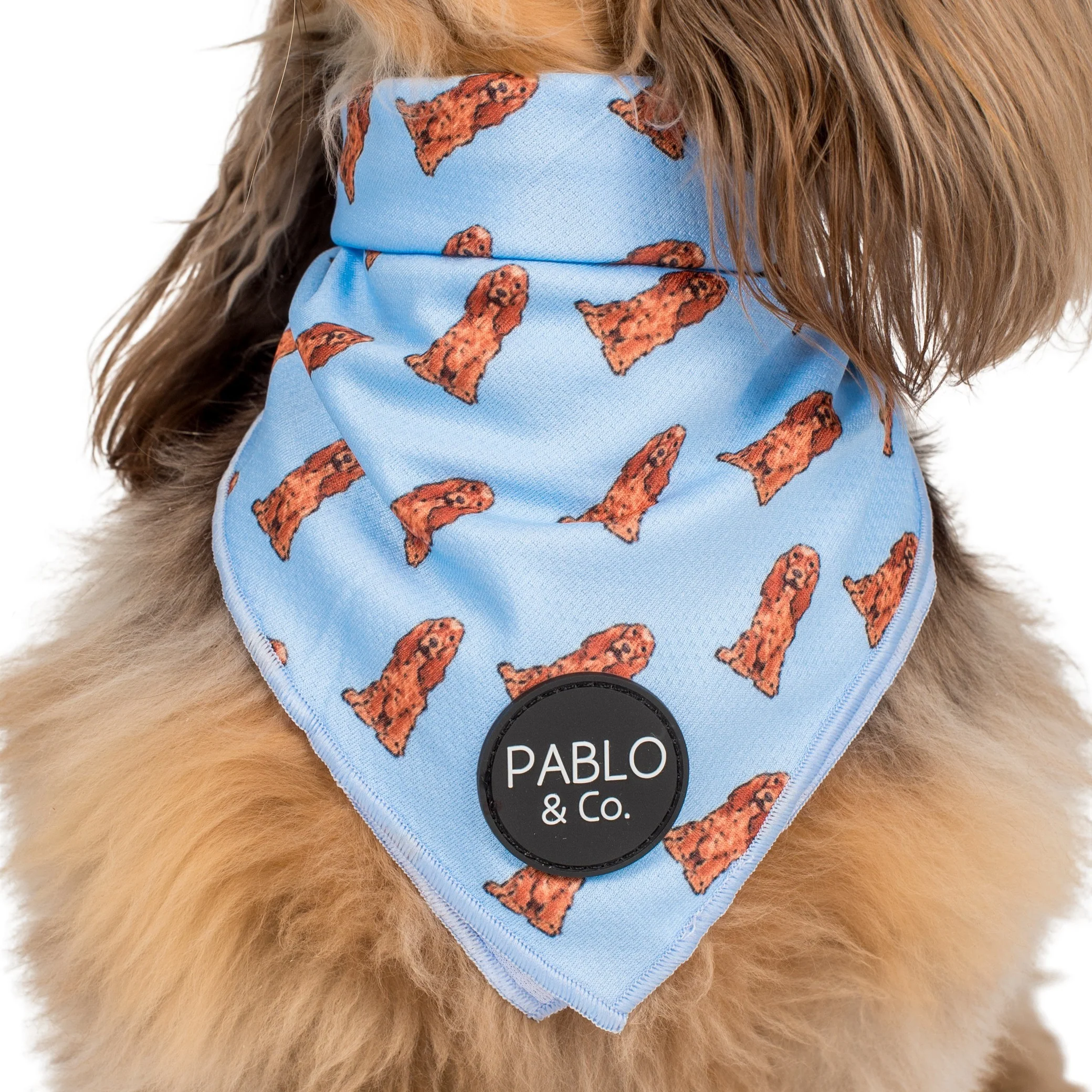 Cocker Spaniel - Dog Bandana - Image 2