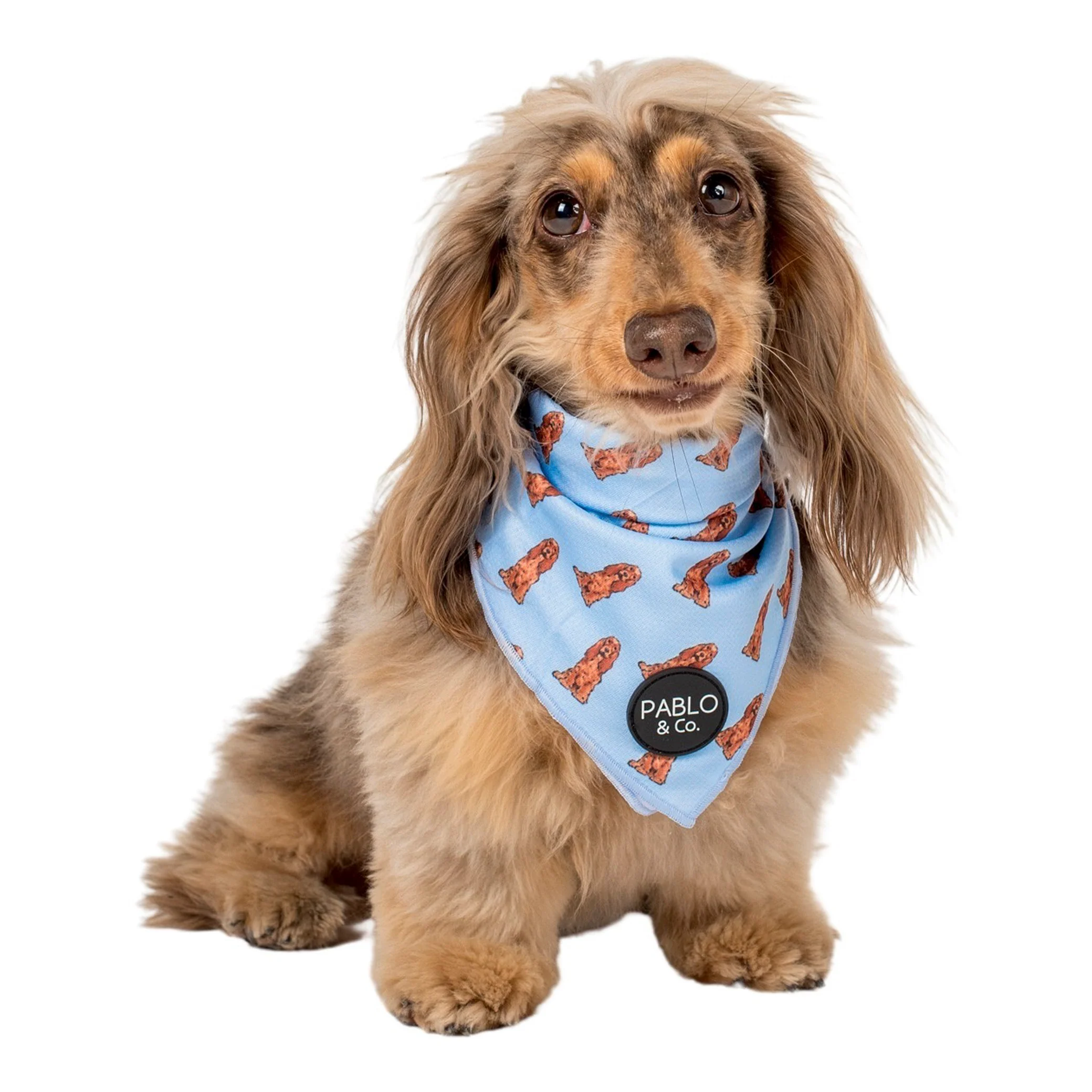 Cocker Spaniel - Dog Bandana - Image 3