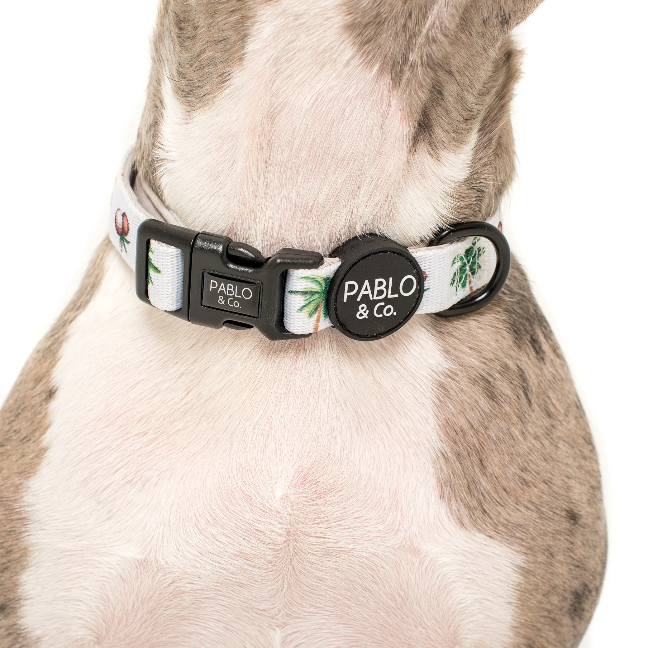 Coconut Island: Collar