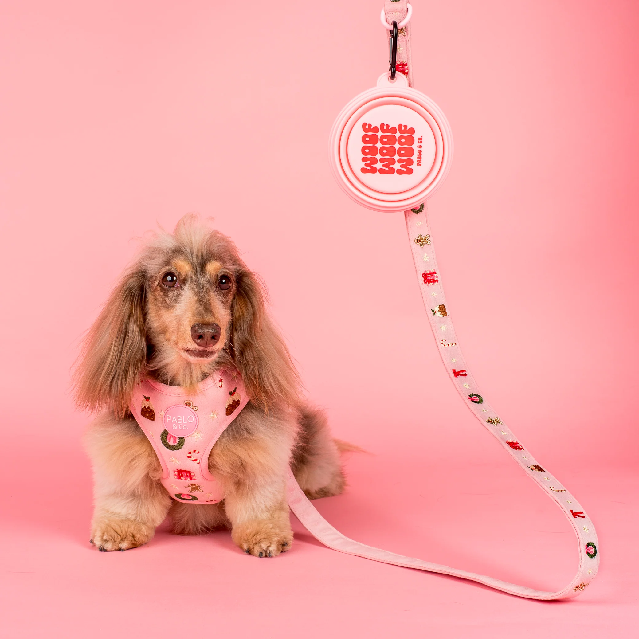 Collapsible Dog Water Bowl - Woof - Image 3