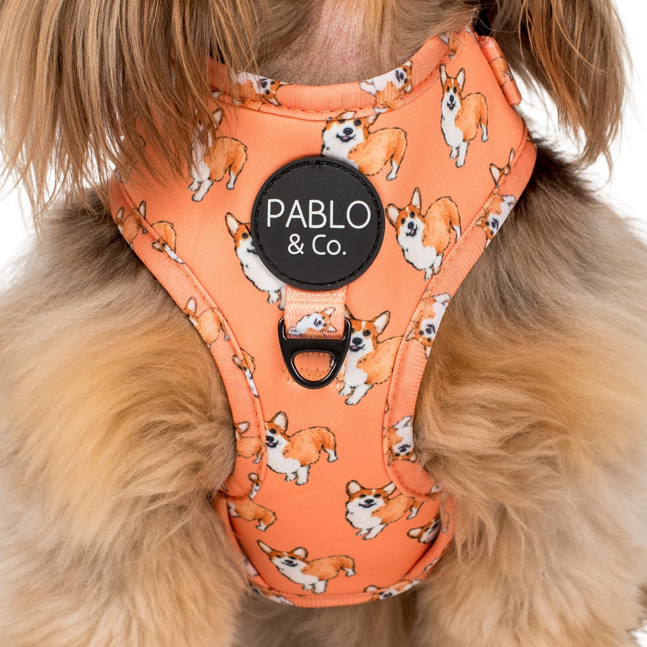 Corgi: Adjustable Harness - Image 4