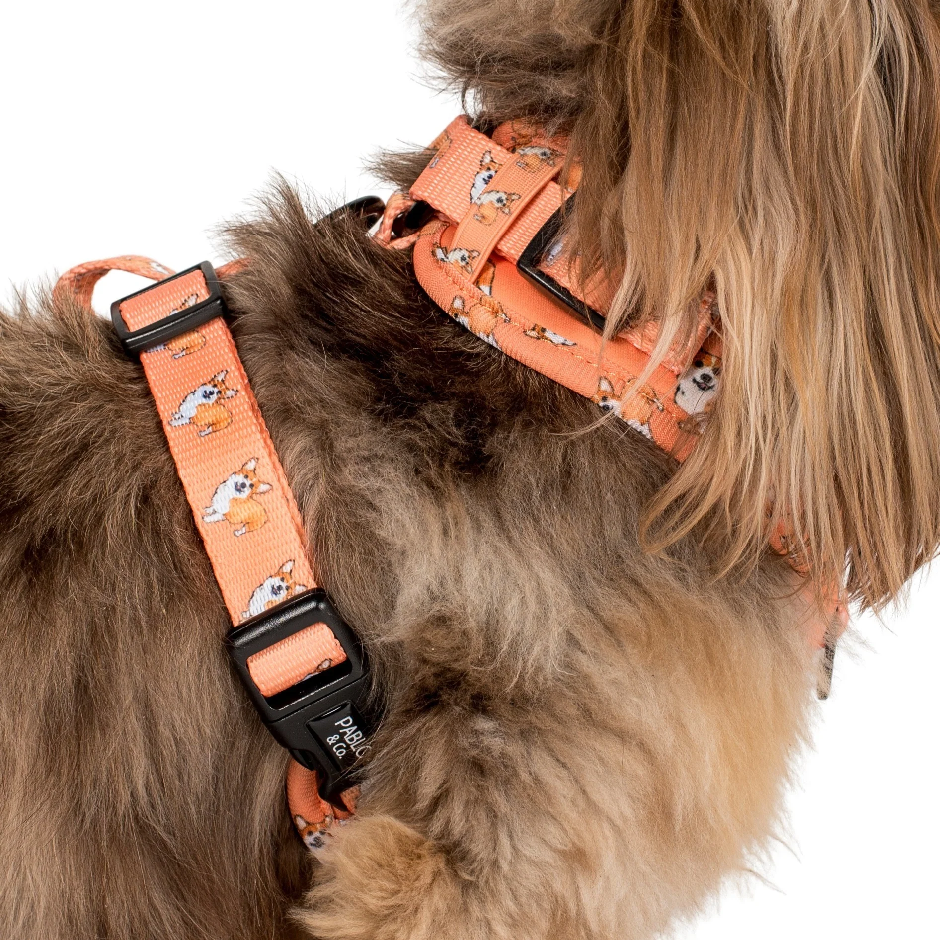 Corgi: Adjustable Harness - Image 6