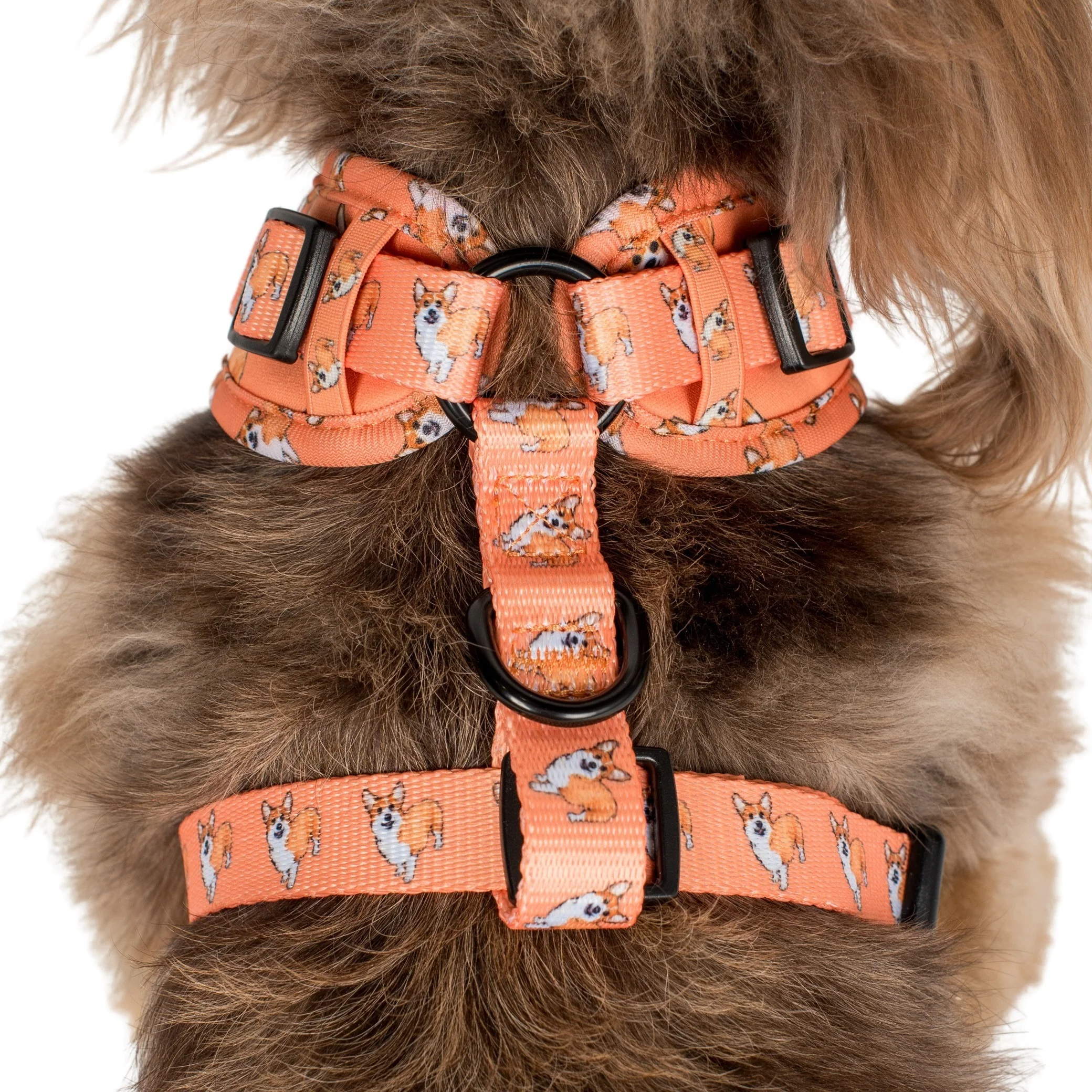 Corgi: Adjustable Harness - Image 7