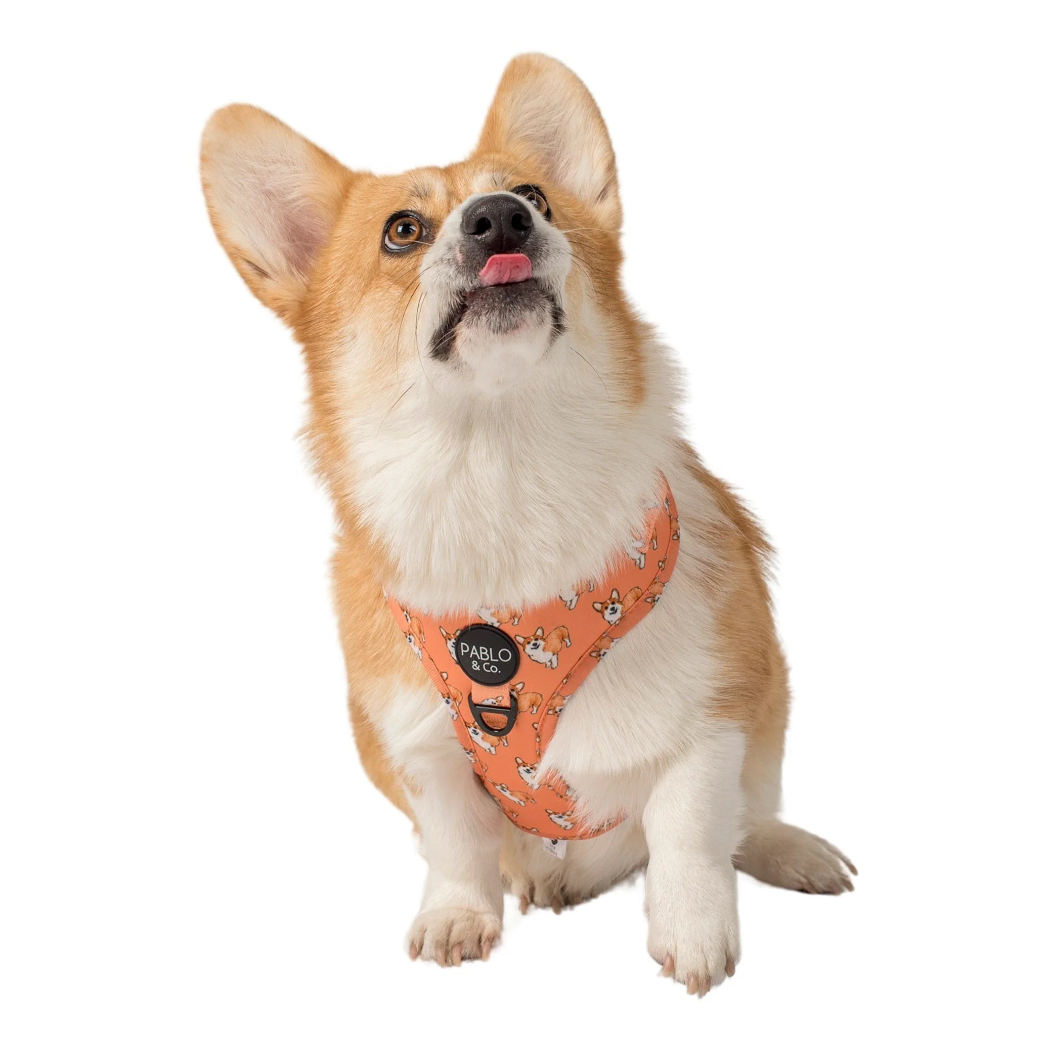 Corgi: Adjustable Harness - Image 9