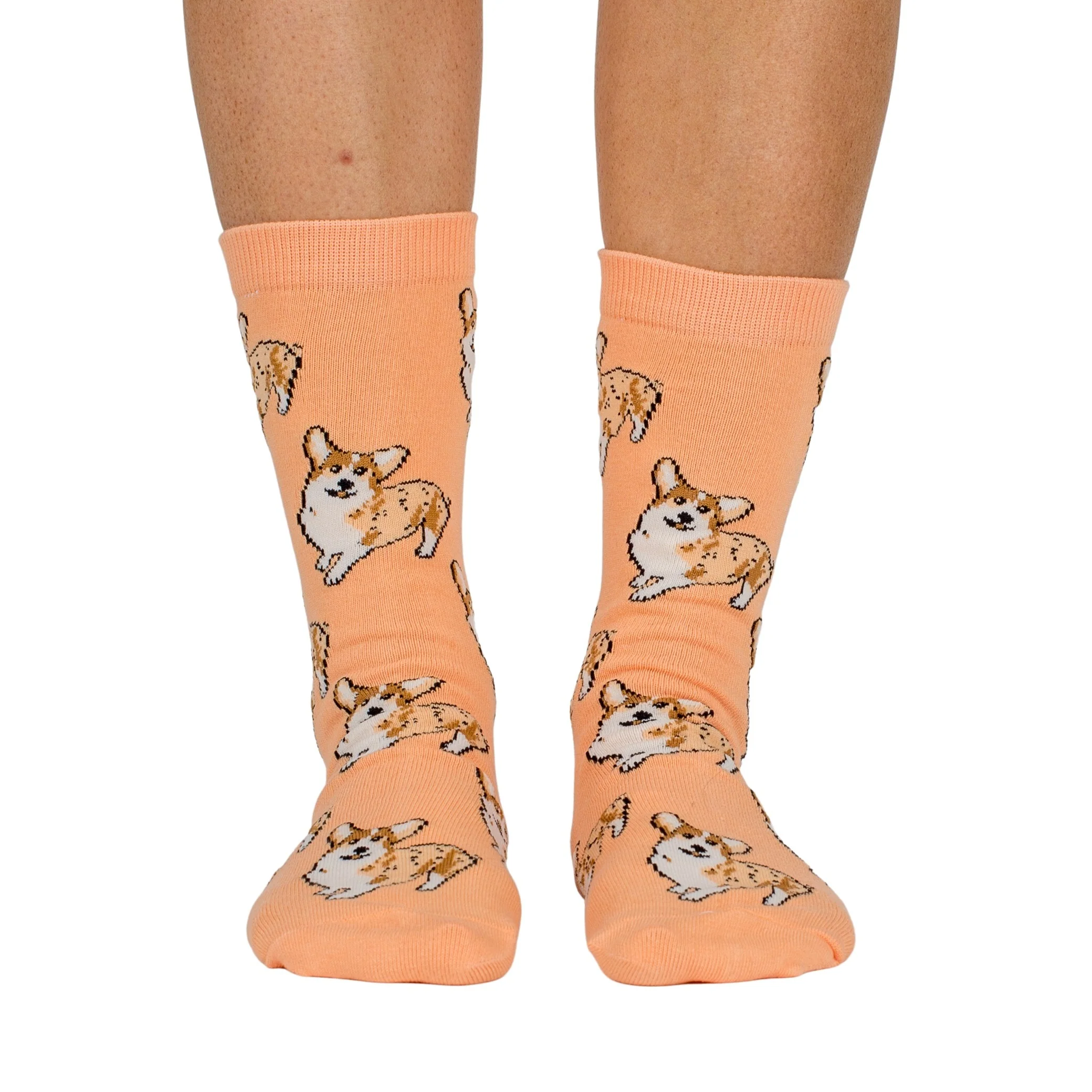 Corgi: Breed Socks