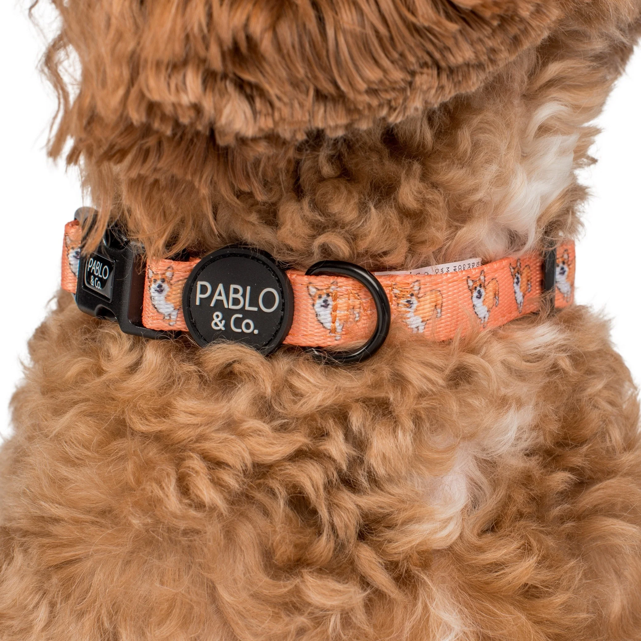 Corgi: Collar - Image 3