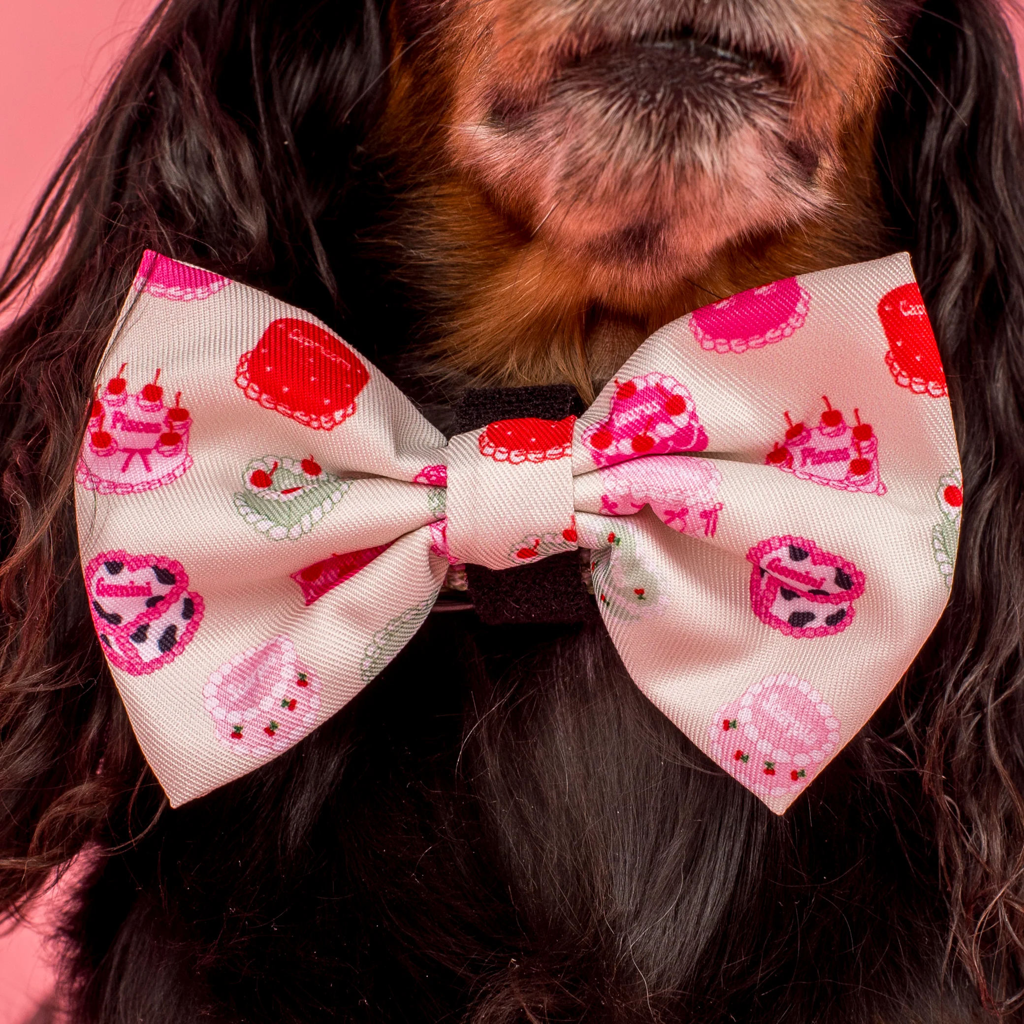 Cosmic Birthday: Bow Tie - Image 2