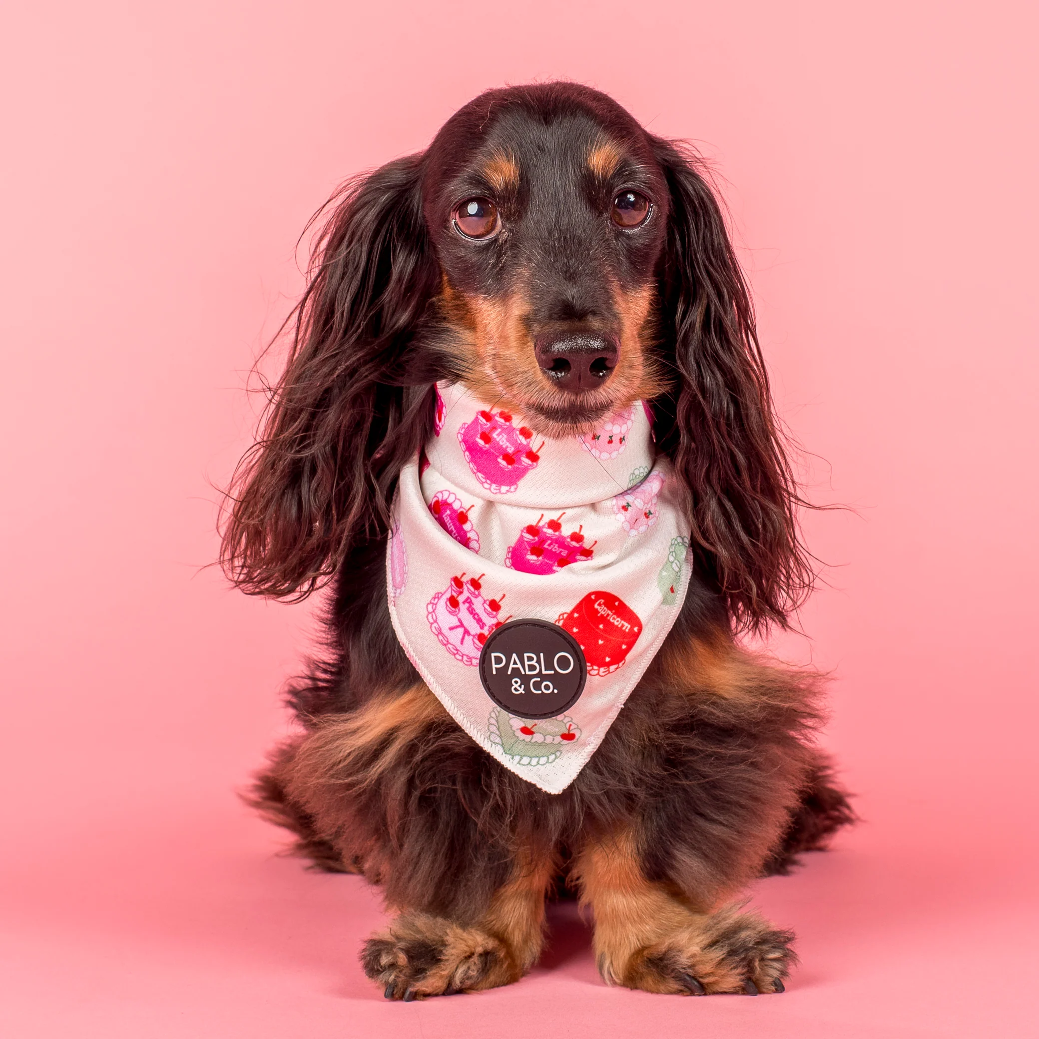 Cosmic Birthday: Dog Bandana