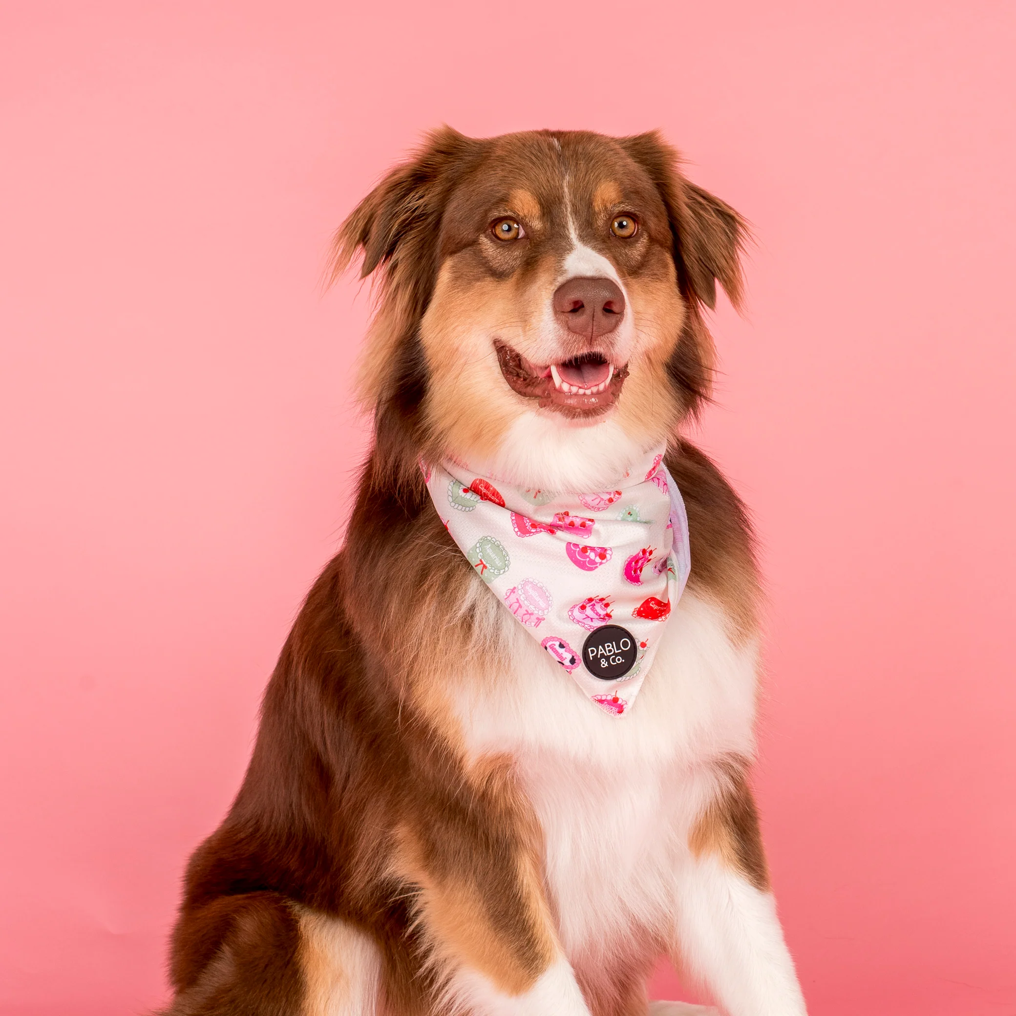 Cosmic Birthday: Dog Bandana - Image 2
