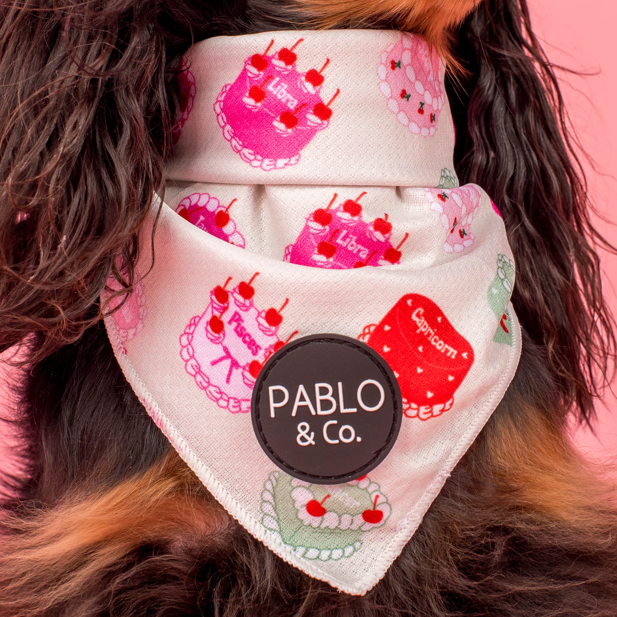 Cosmic Birthday: Dog Bandana - Image 3
