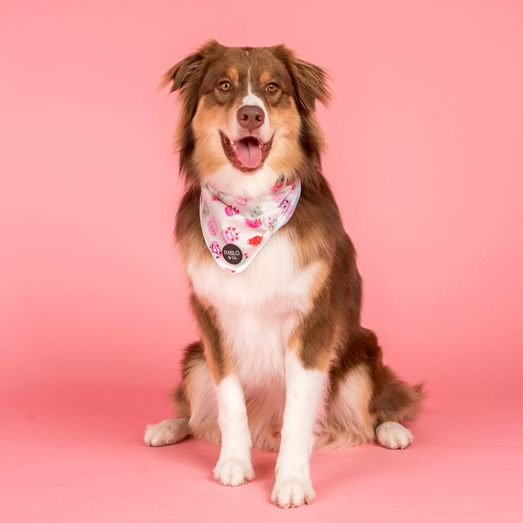 Cosmic Birthday: Dog Bandana - Image 5