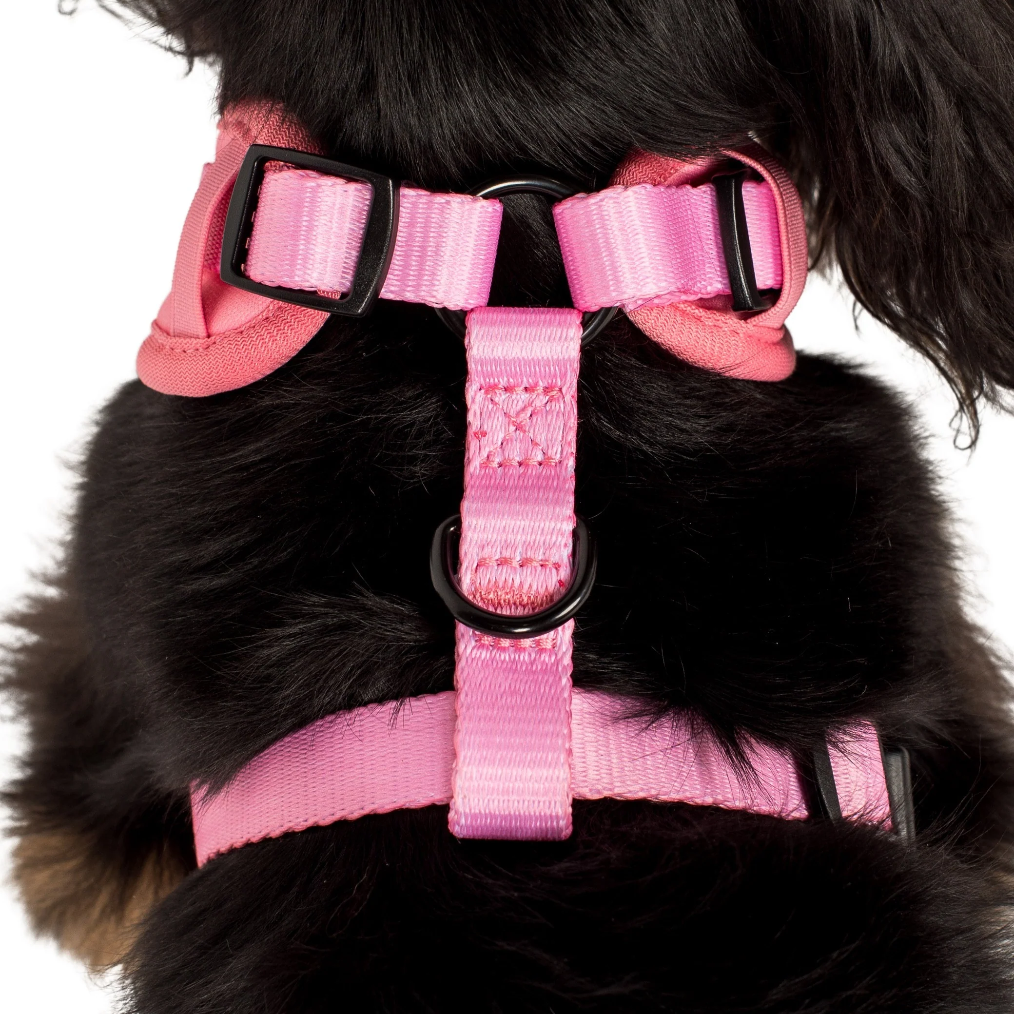 Cotton Candy: Adjustable Harness - Image 4