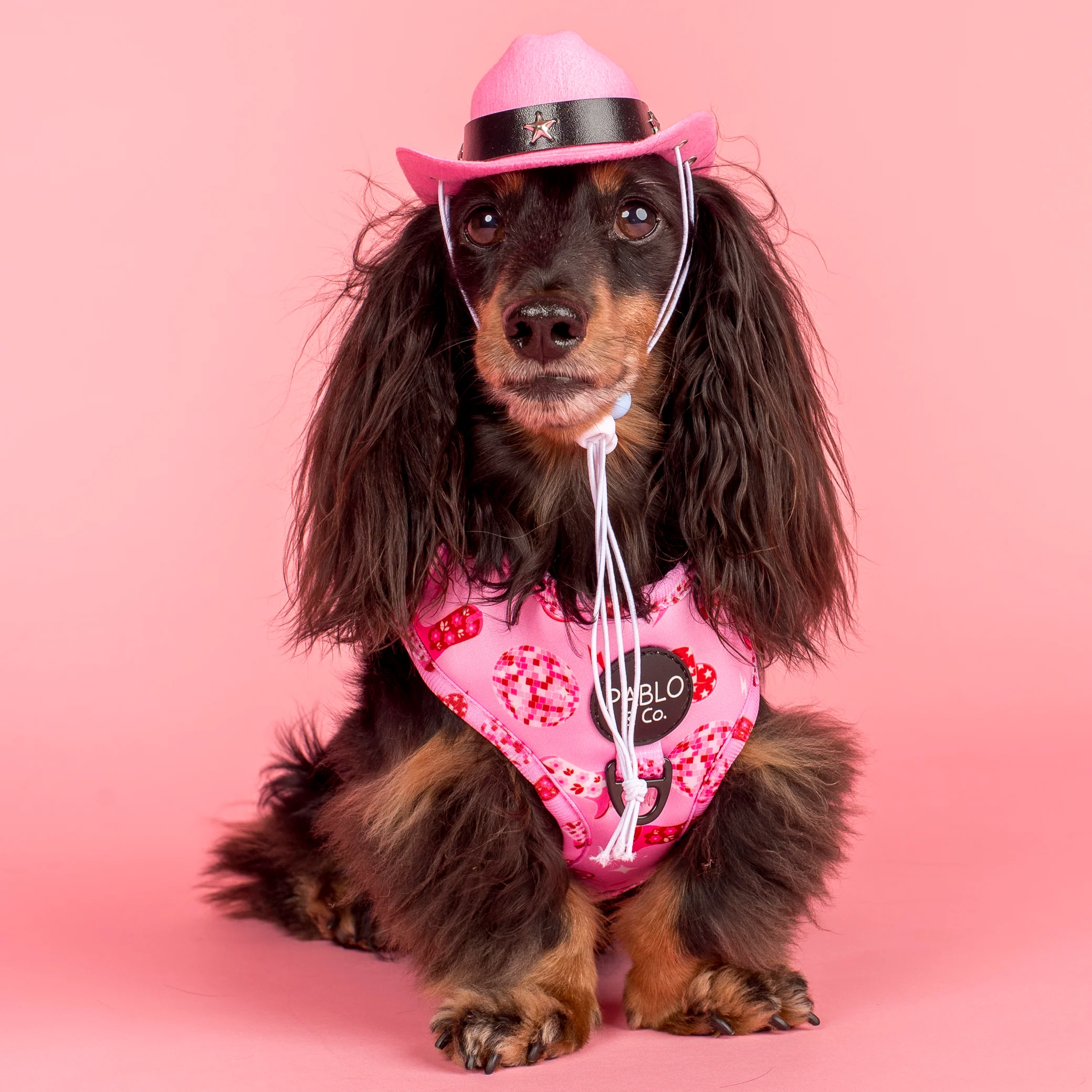 Pet Cowboy Hat - Image 12