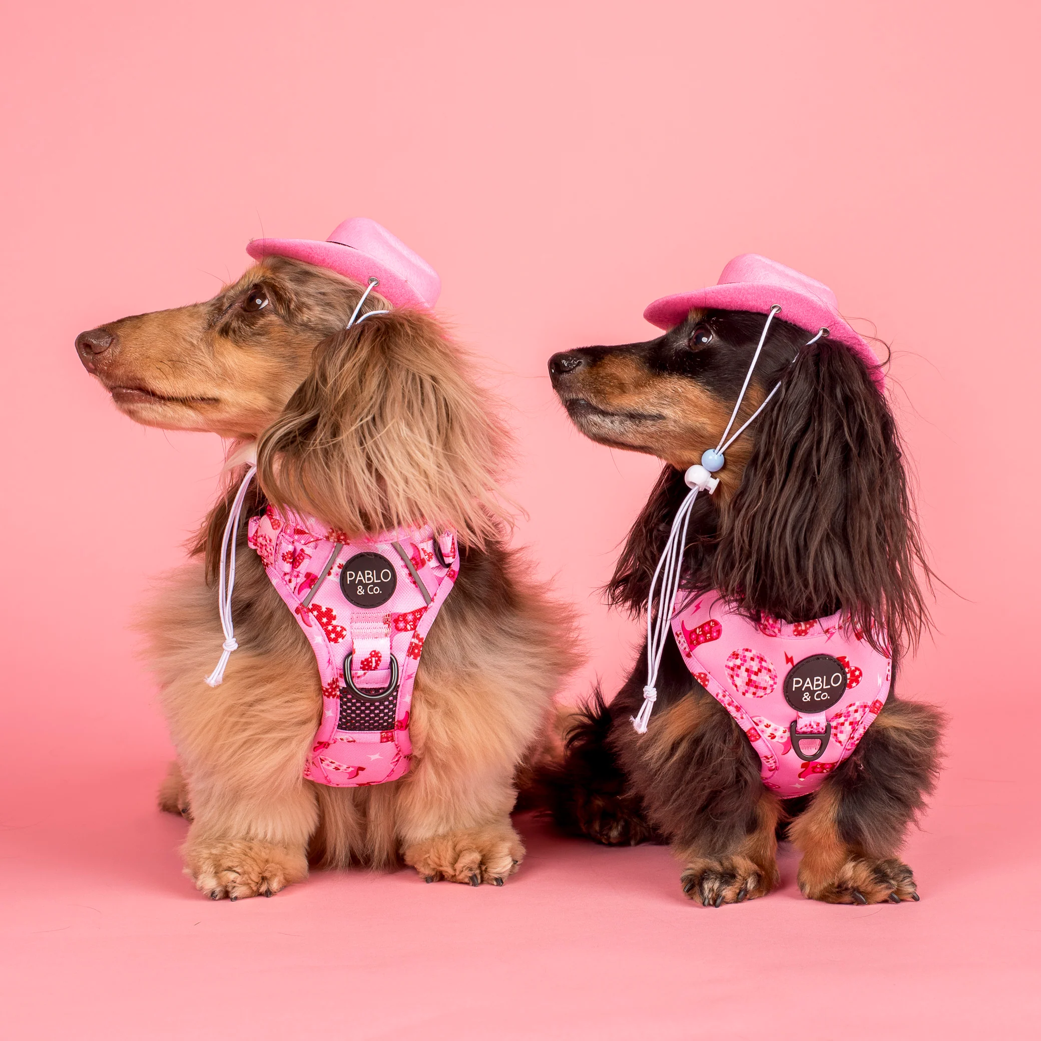 Pet Cowboy Hat - Image 13