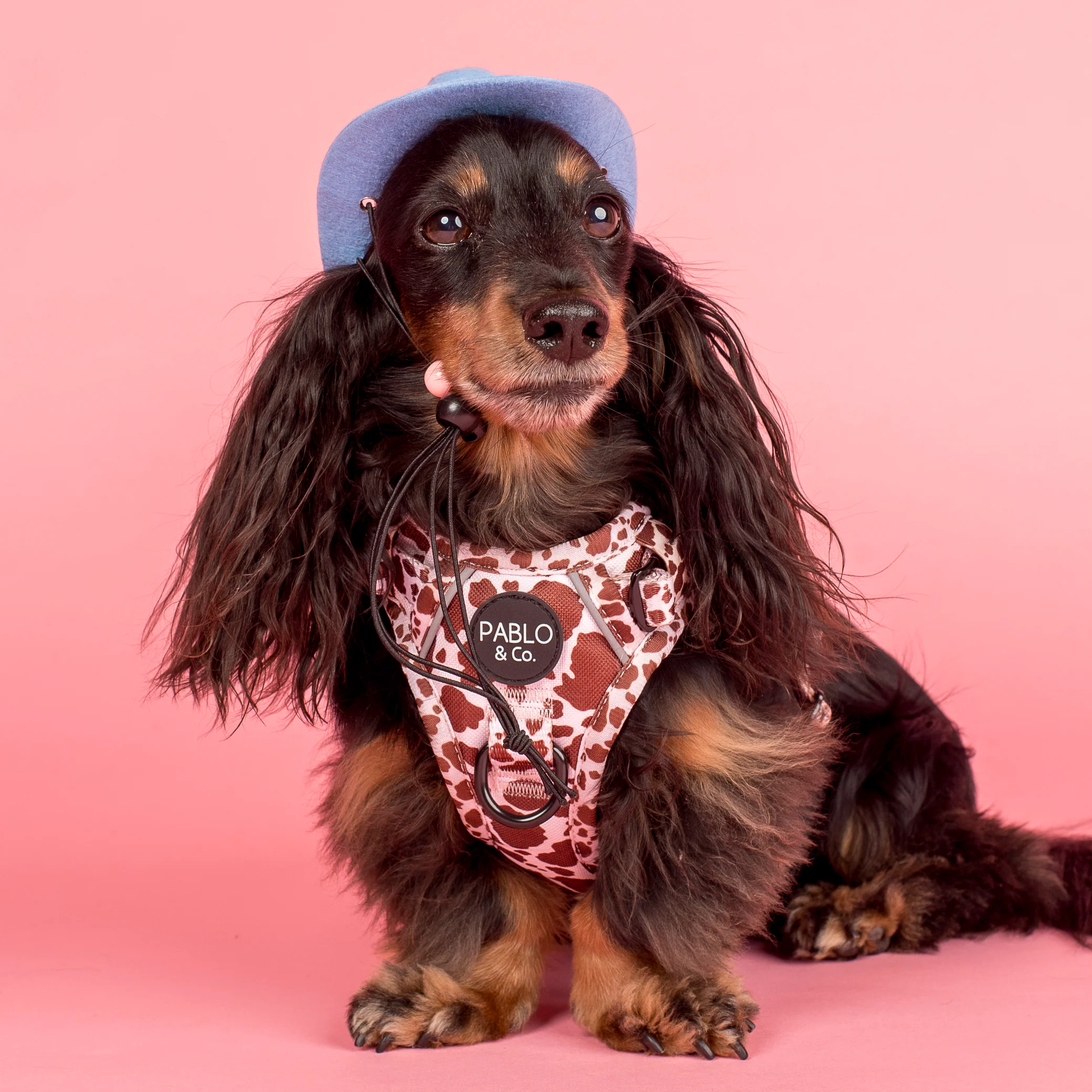 Pet Cowboy Hat - Image 3