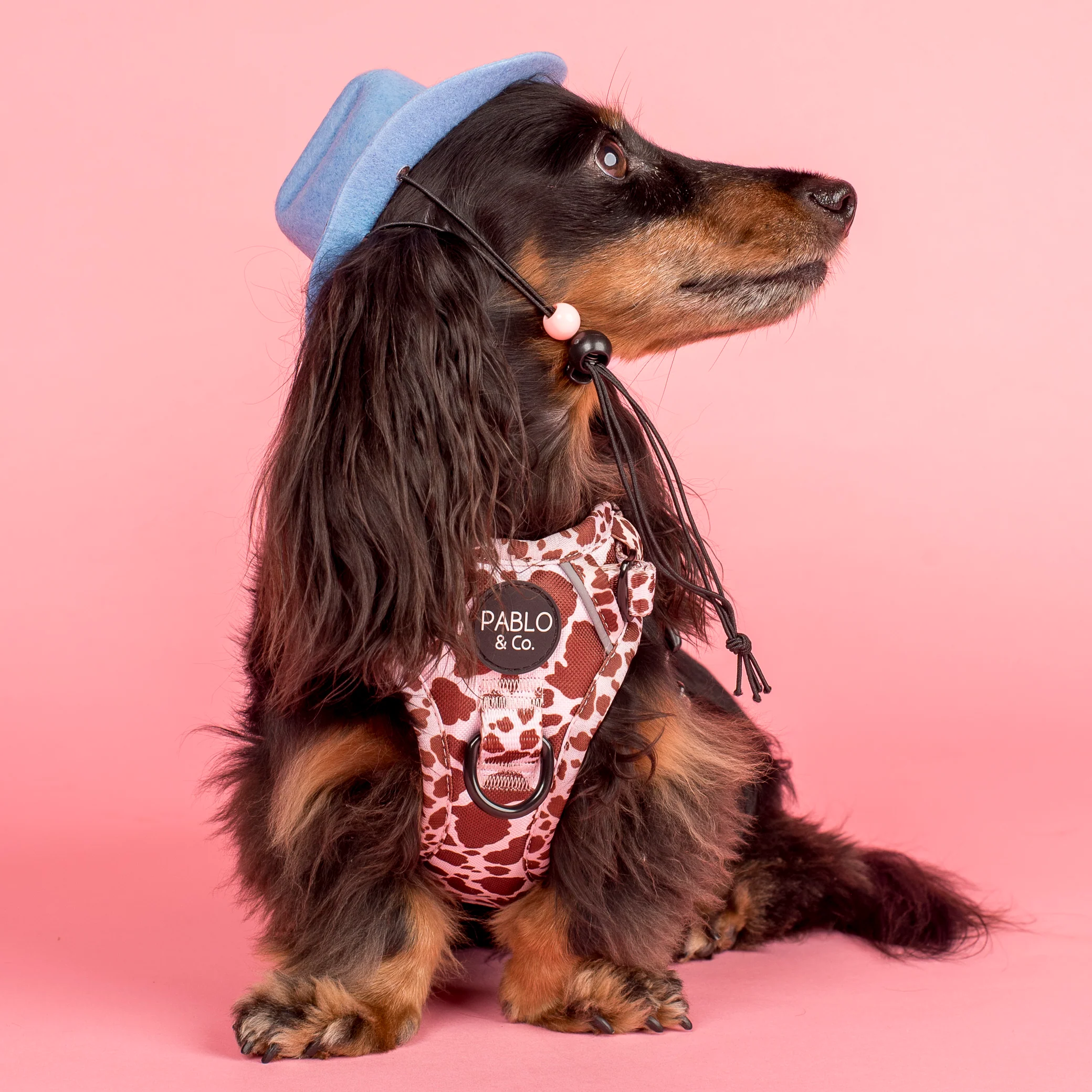 Pet Cowboy Hat - Image 5